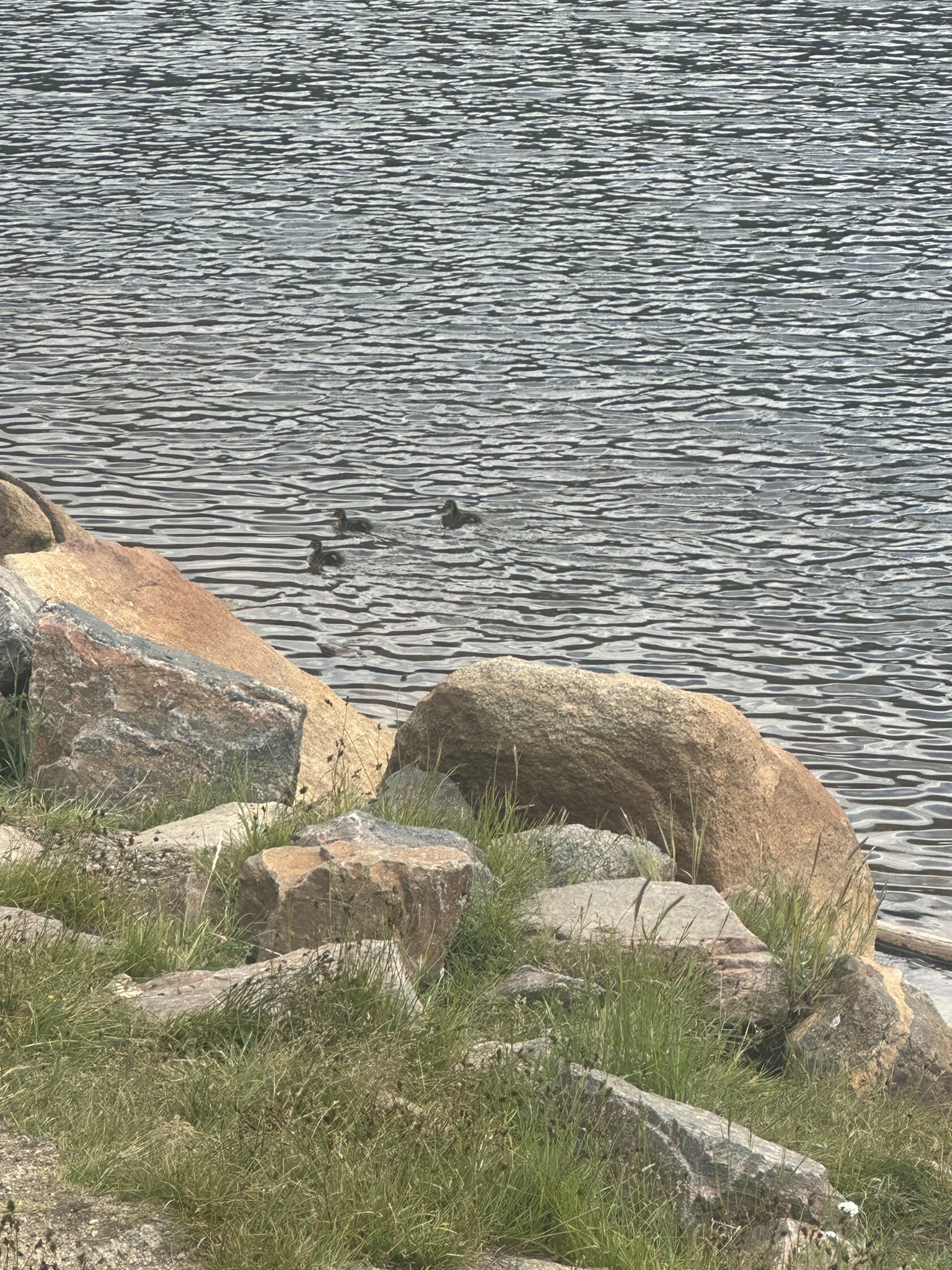 Colorado - Image 153