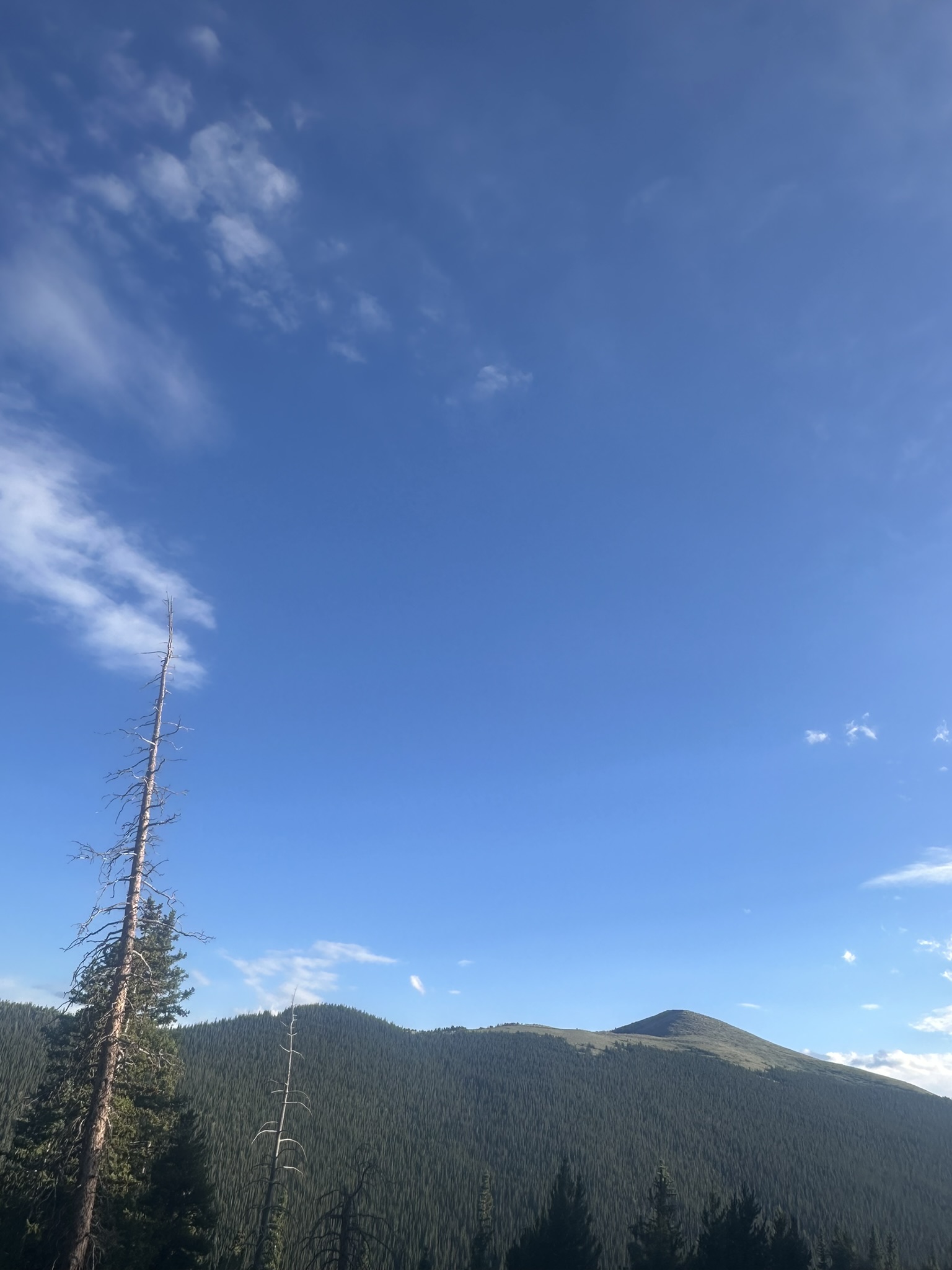 Colorado - Image 201