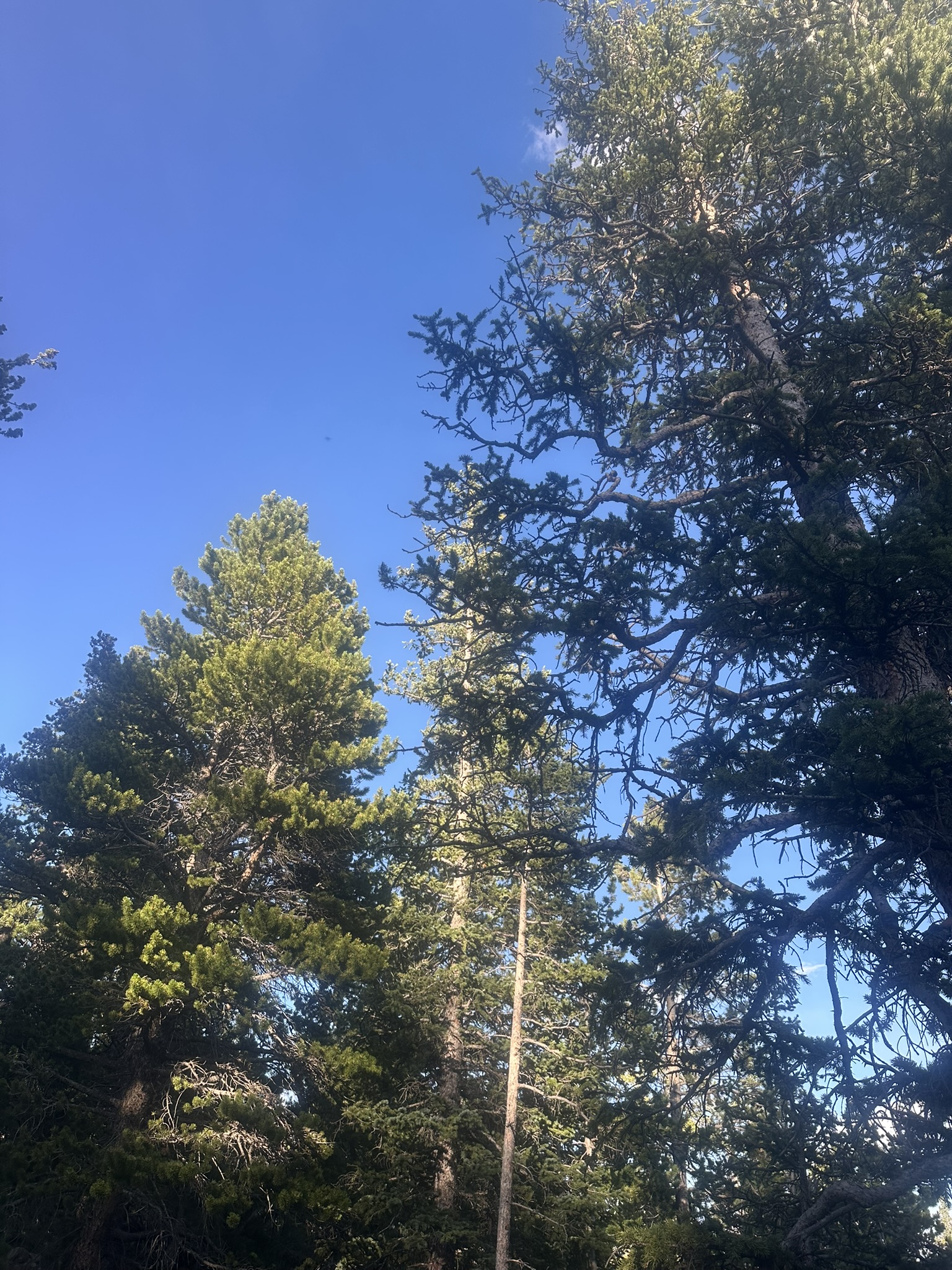 Colorado - Image 202