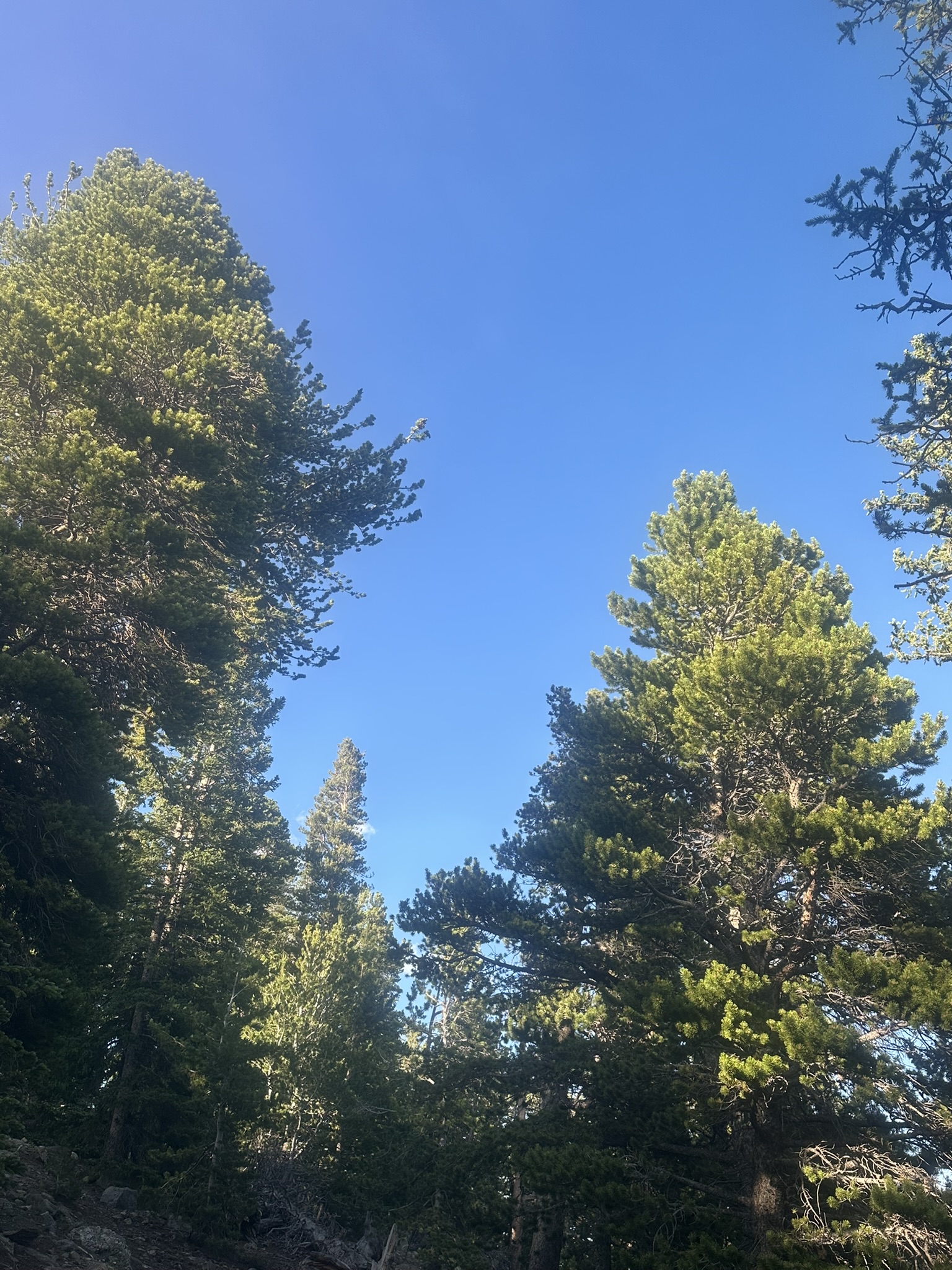Colorado - Image 203