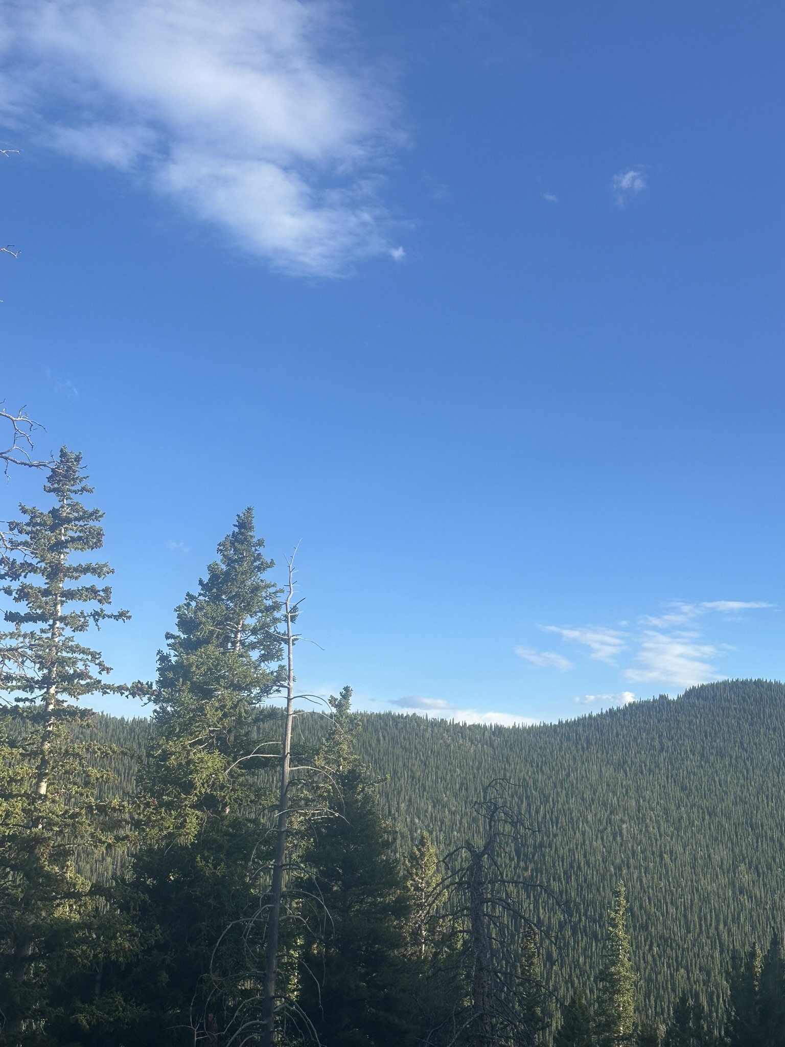 Colorado - Image 205