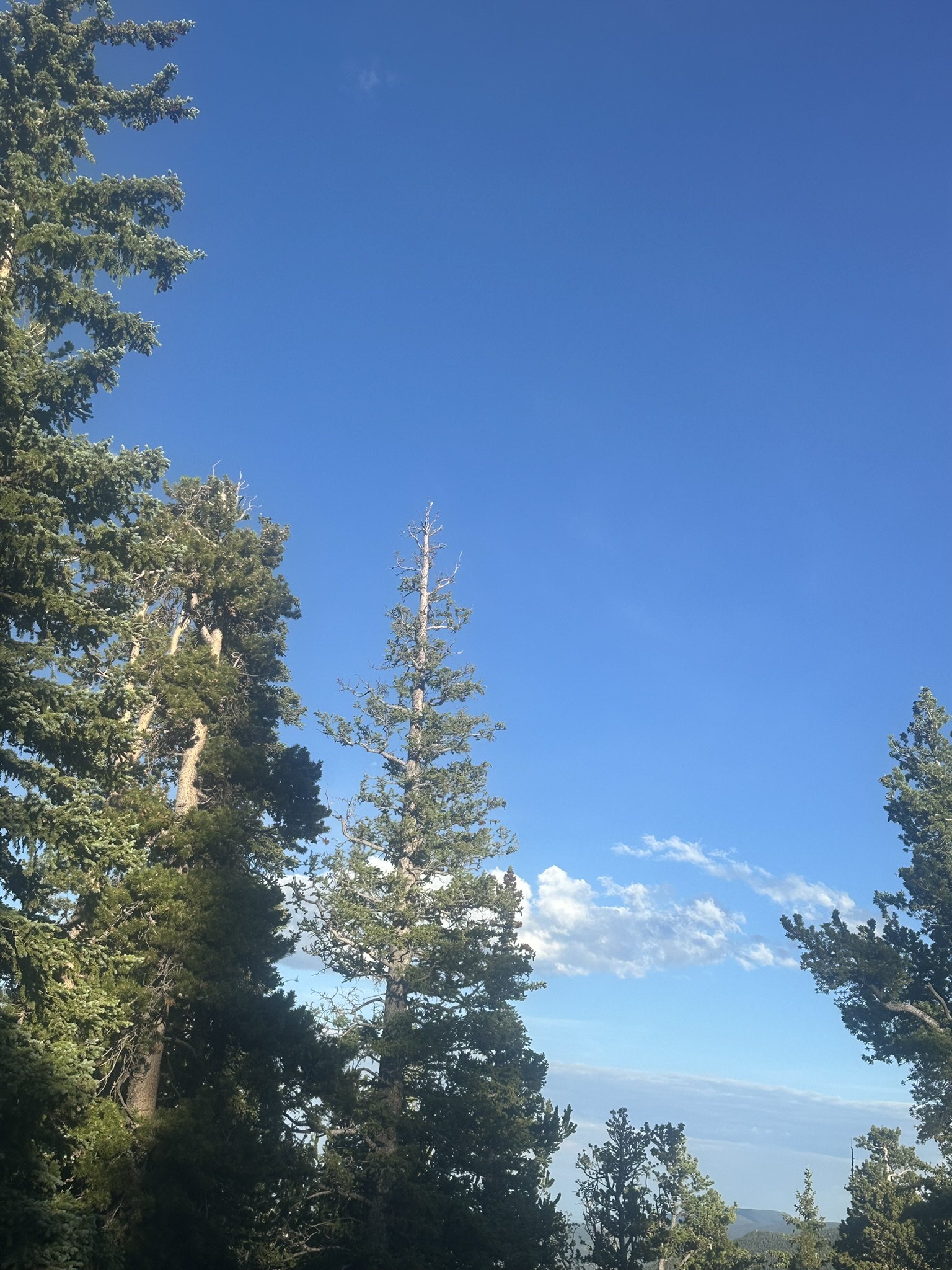 Colorado - Image 206