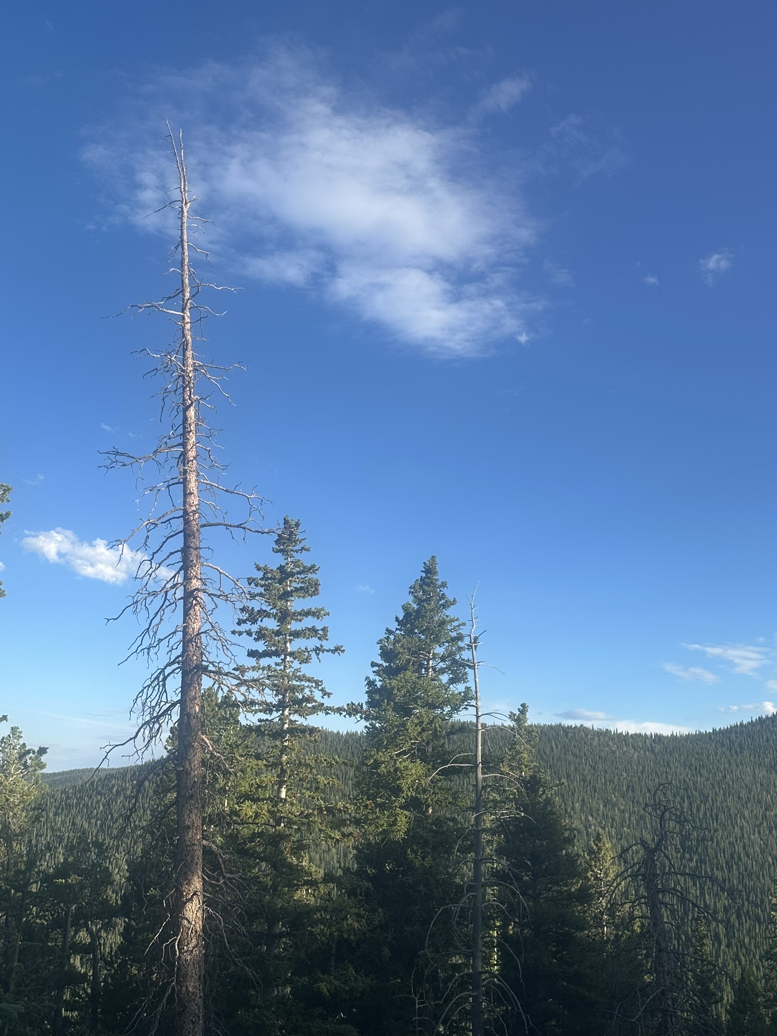 Colorado - Image 207