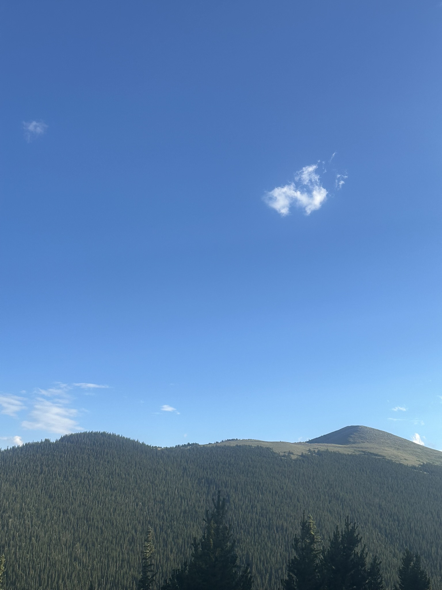 Colorado - Image 208