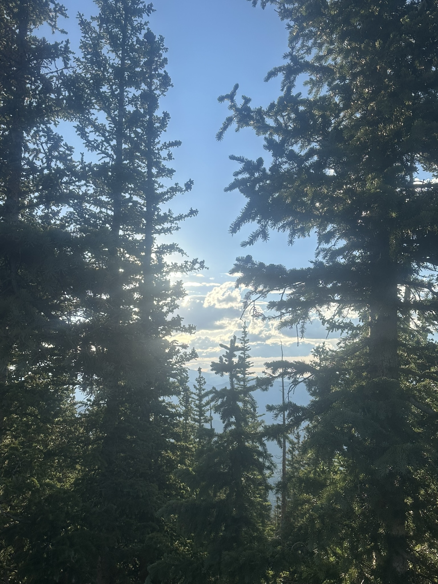 Colorado - Image 210