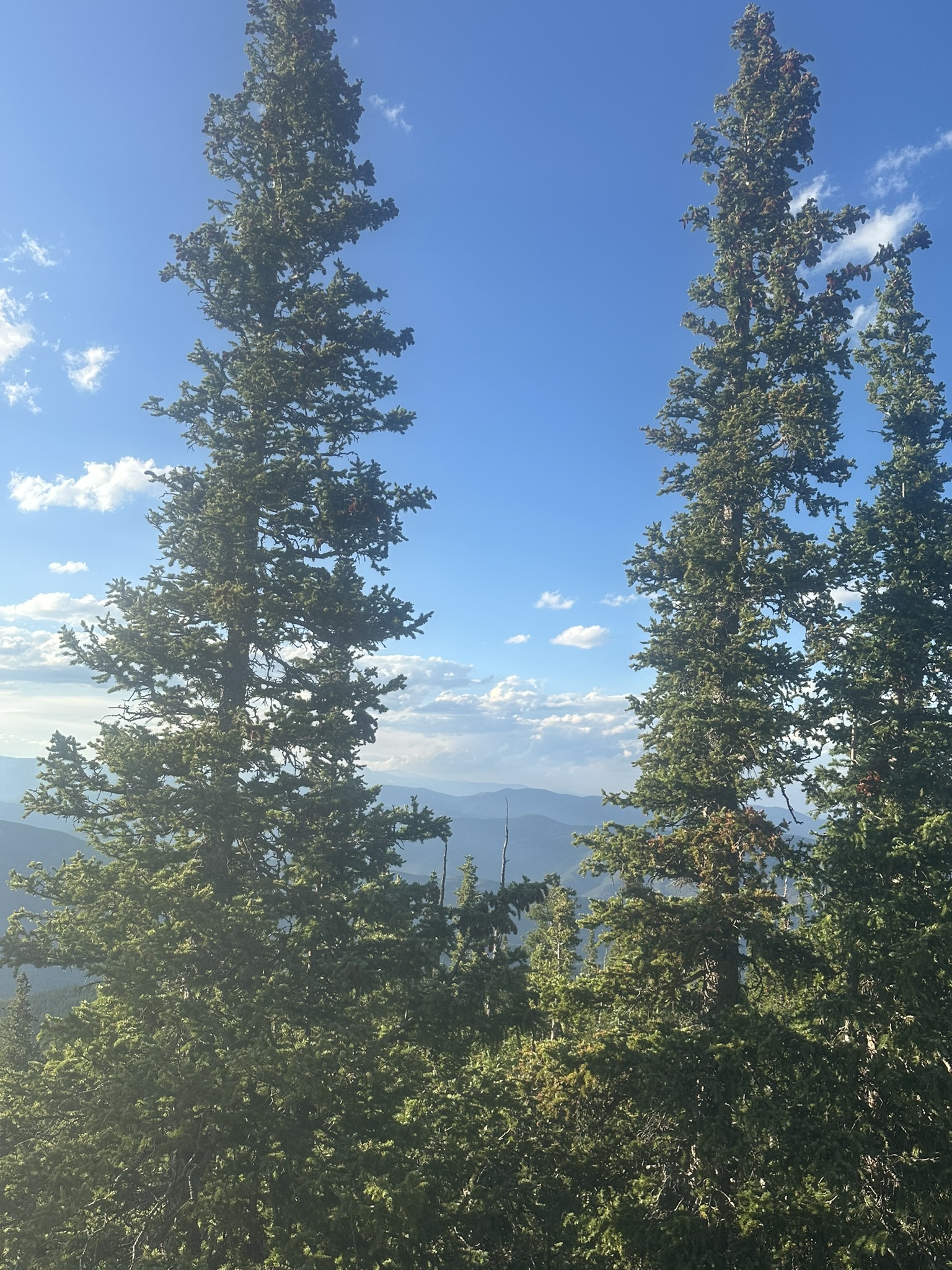 Colorado - Image 212