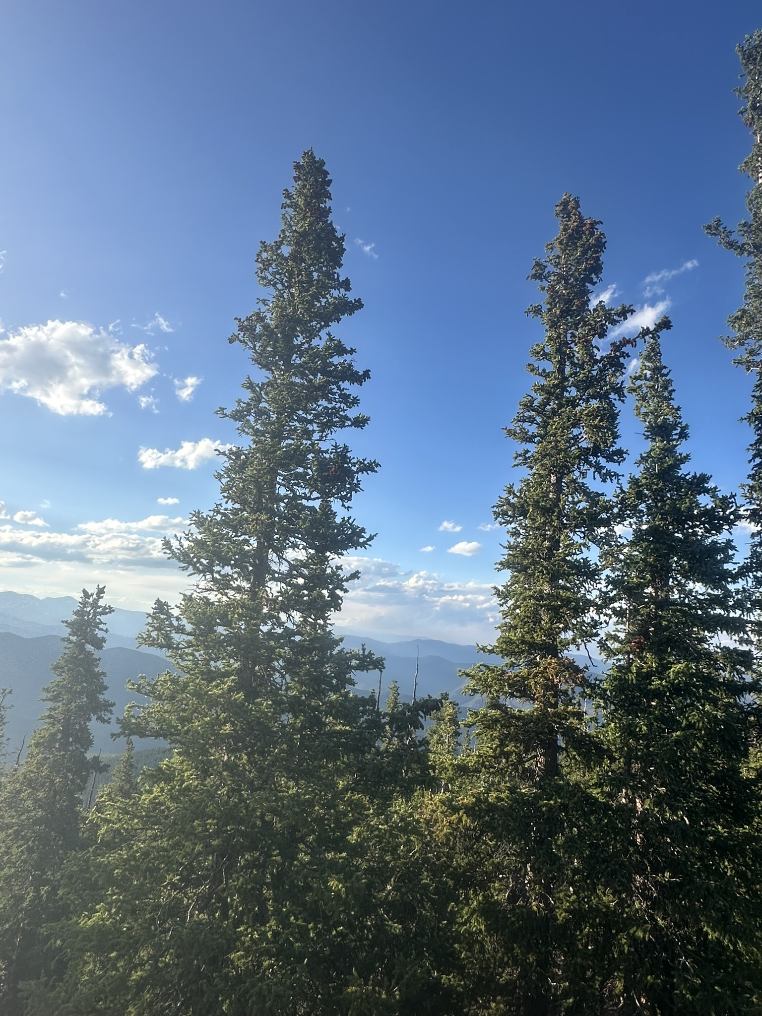 Colorado - Image 213