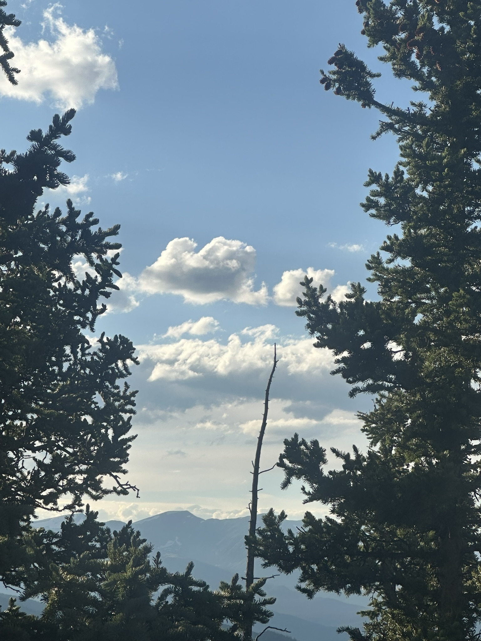 Colorado - Image 223
