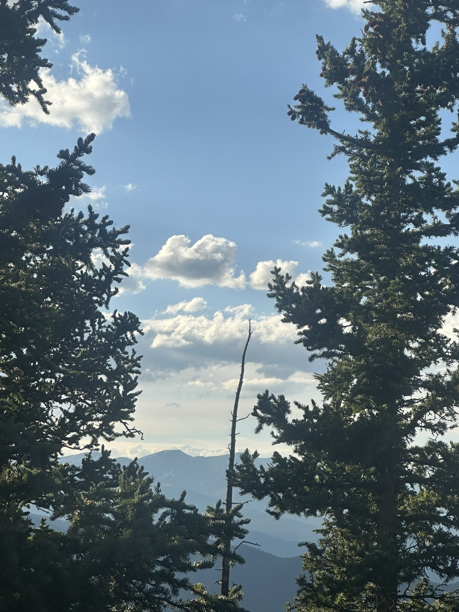 Colorado - Image 224