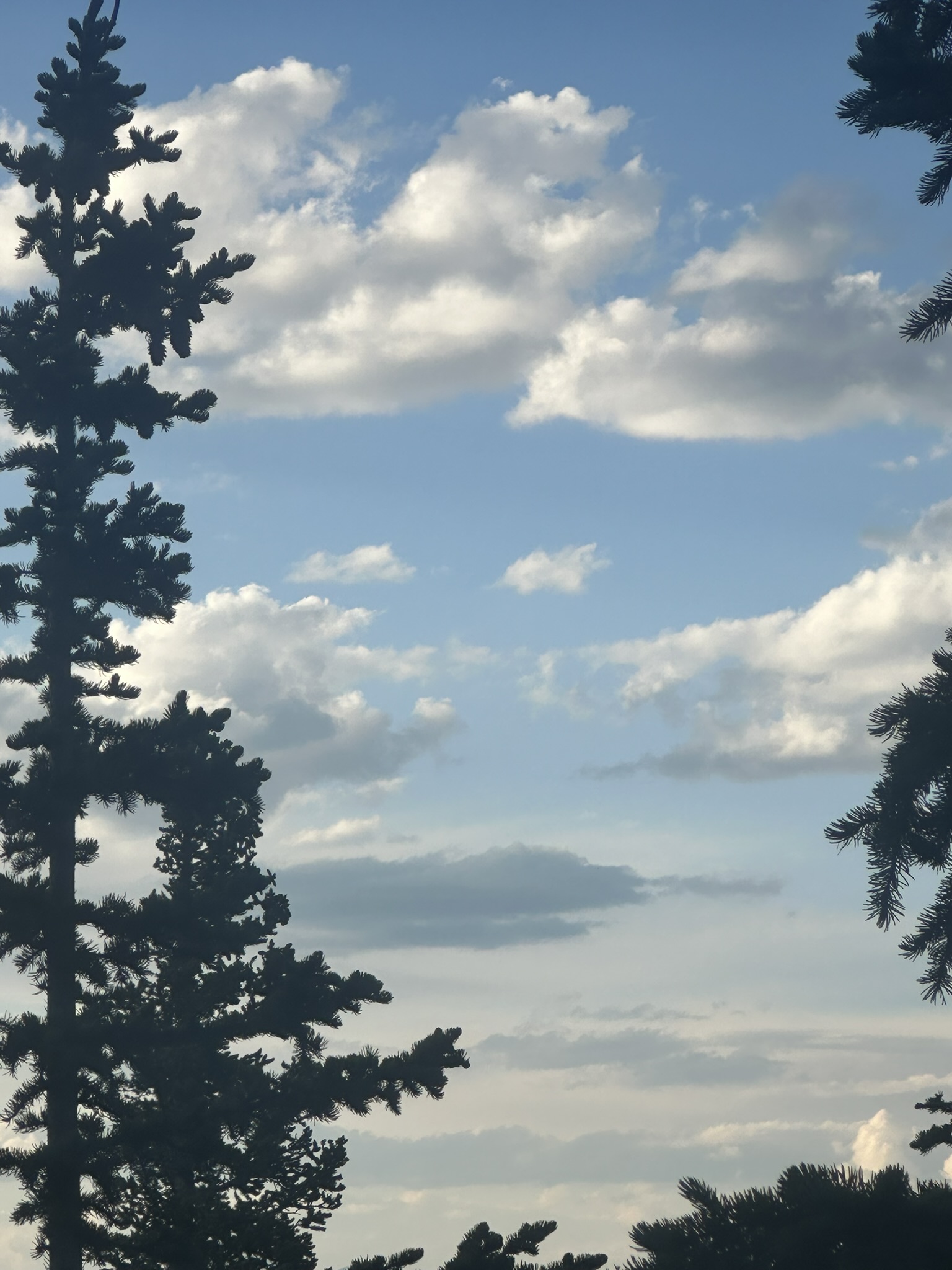 Colorado - Image 234