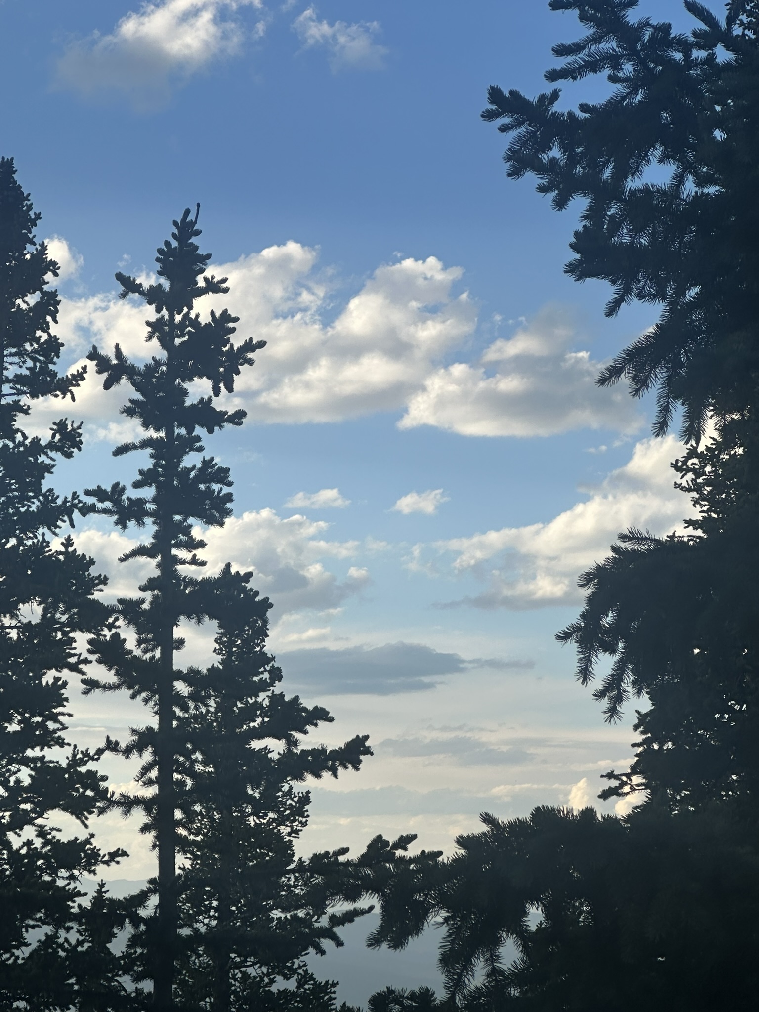 Colorado - Image 235