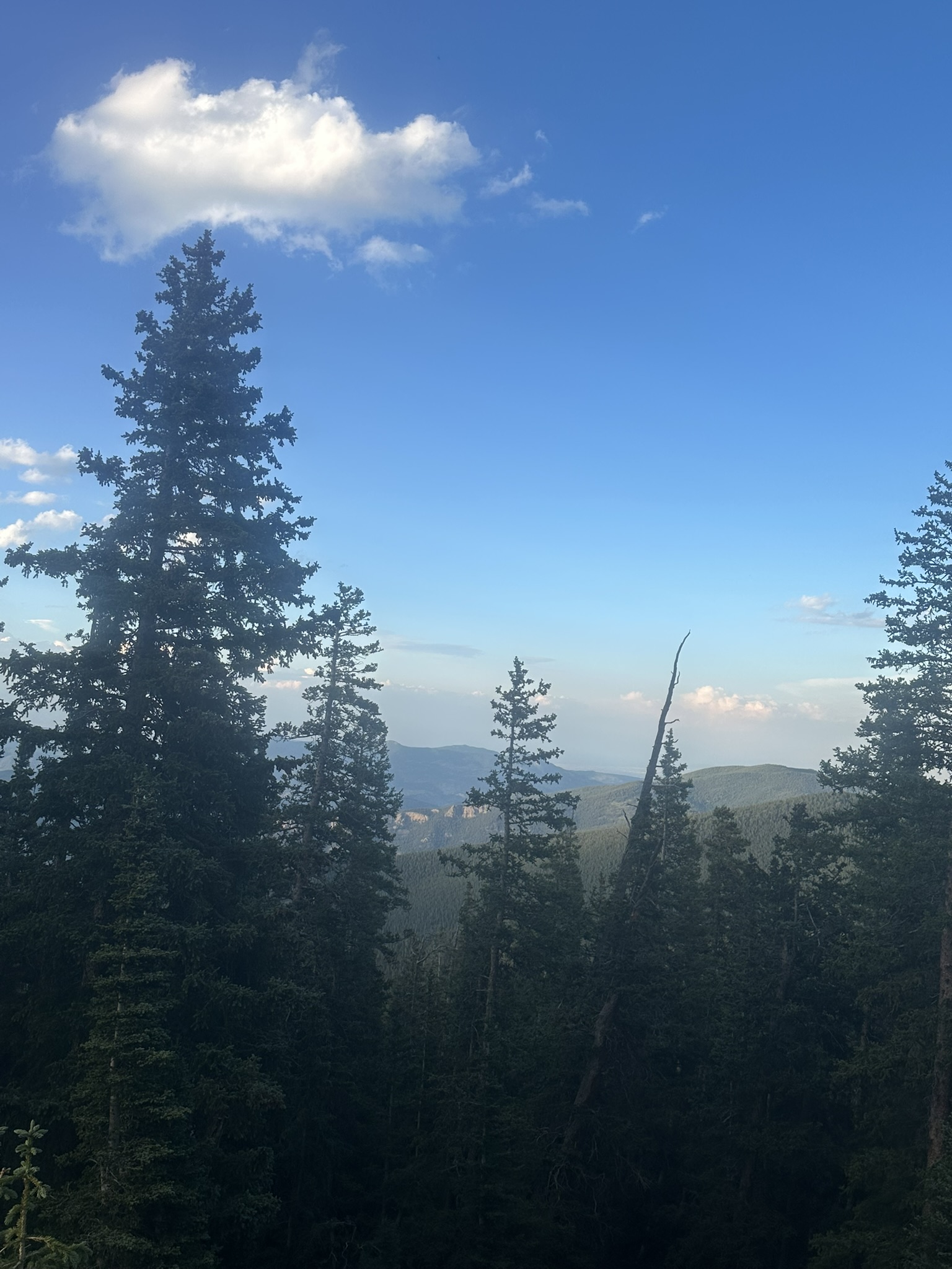 Colorado - Image 238