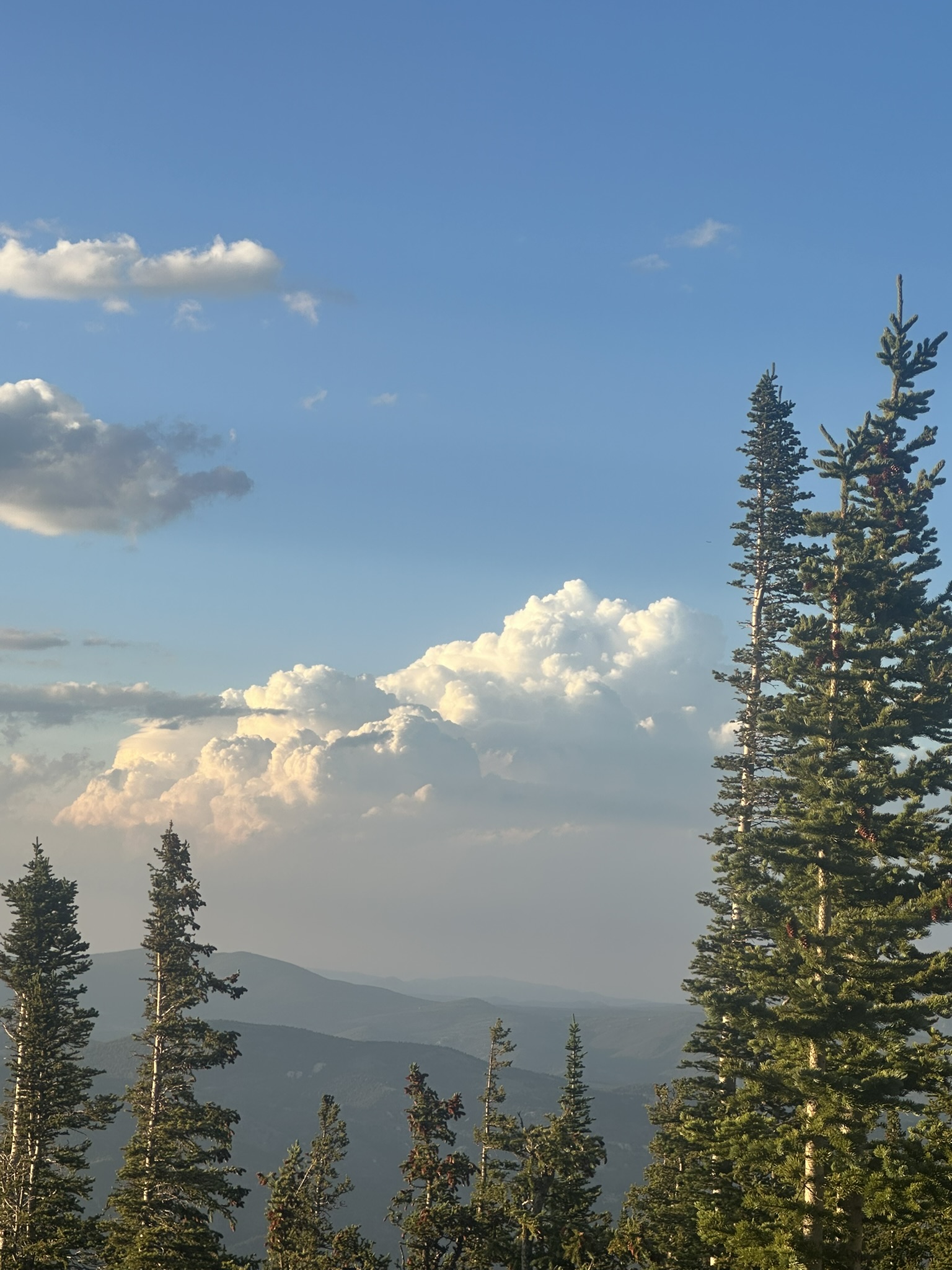 Colorado - Image 260