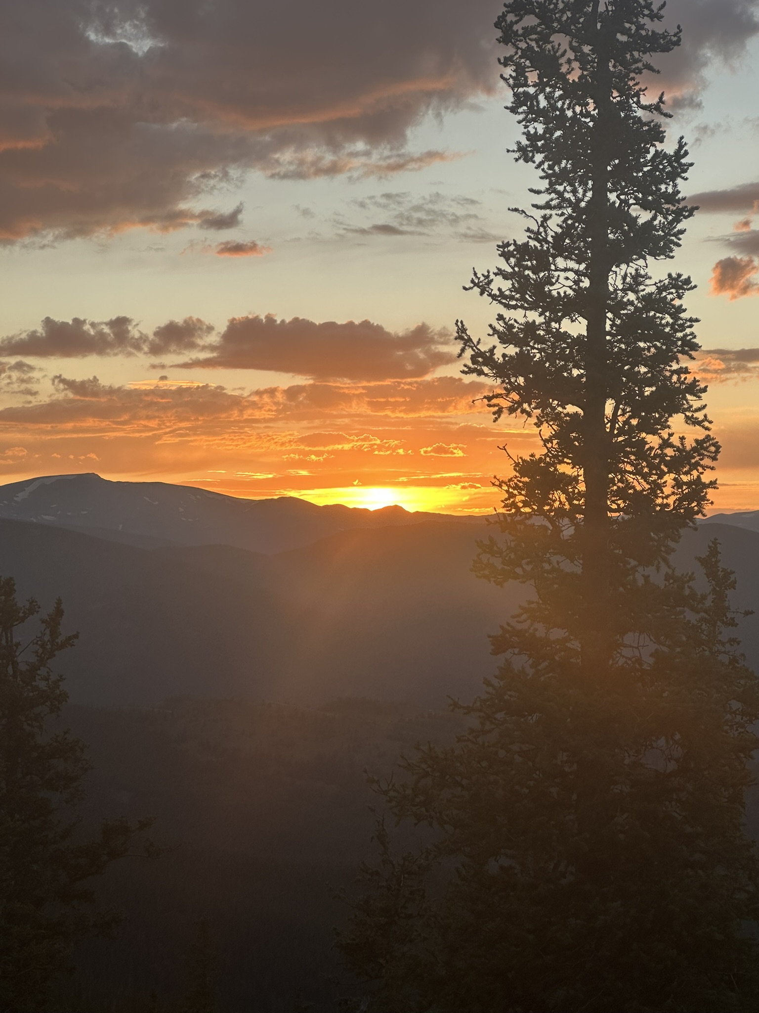 Colorado - Image 329