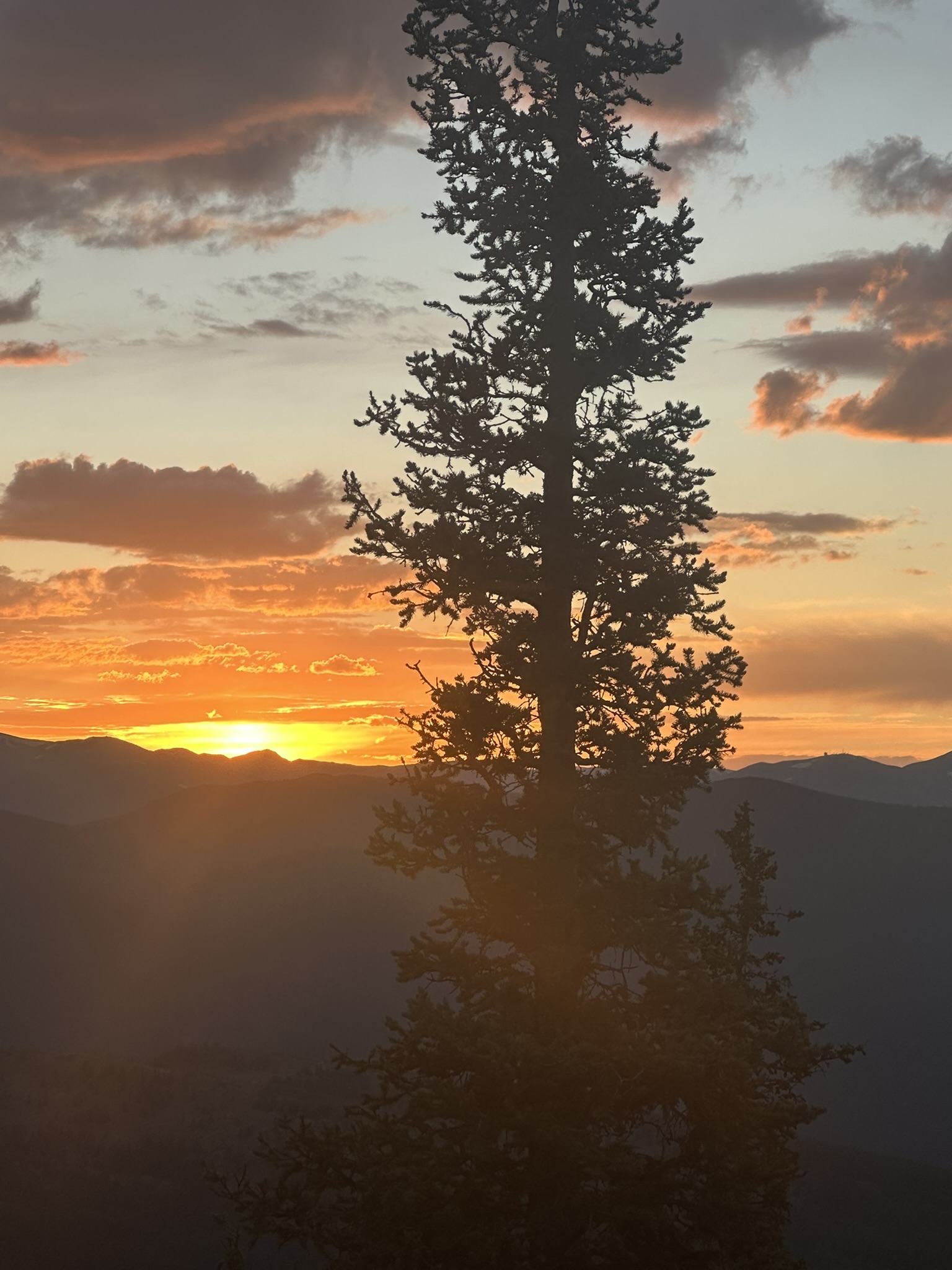 Colorado - Image 335