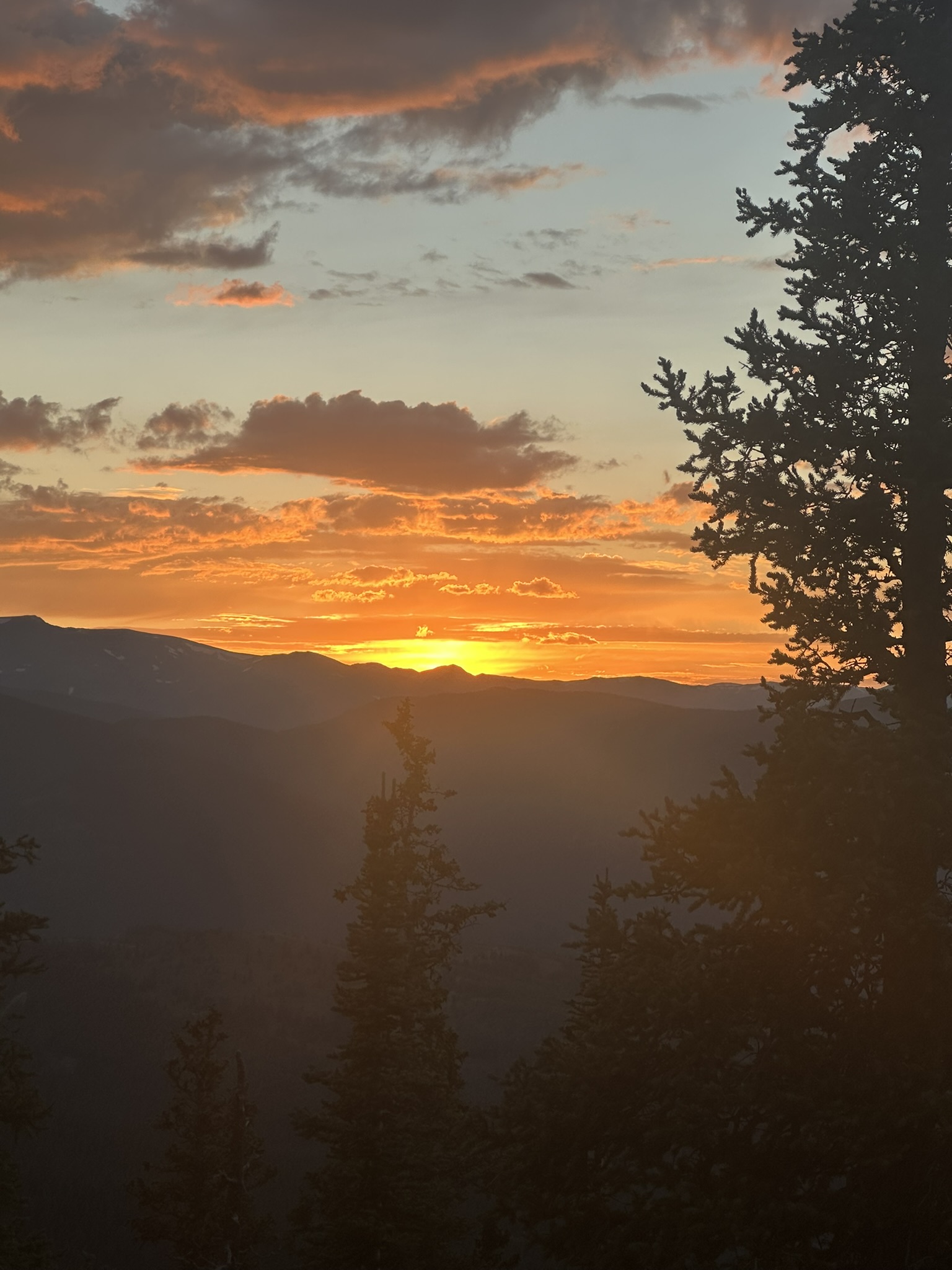 Colorado - Image 338