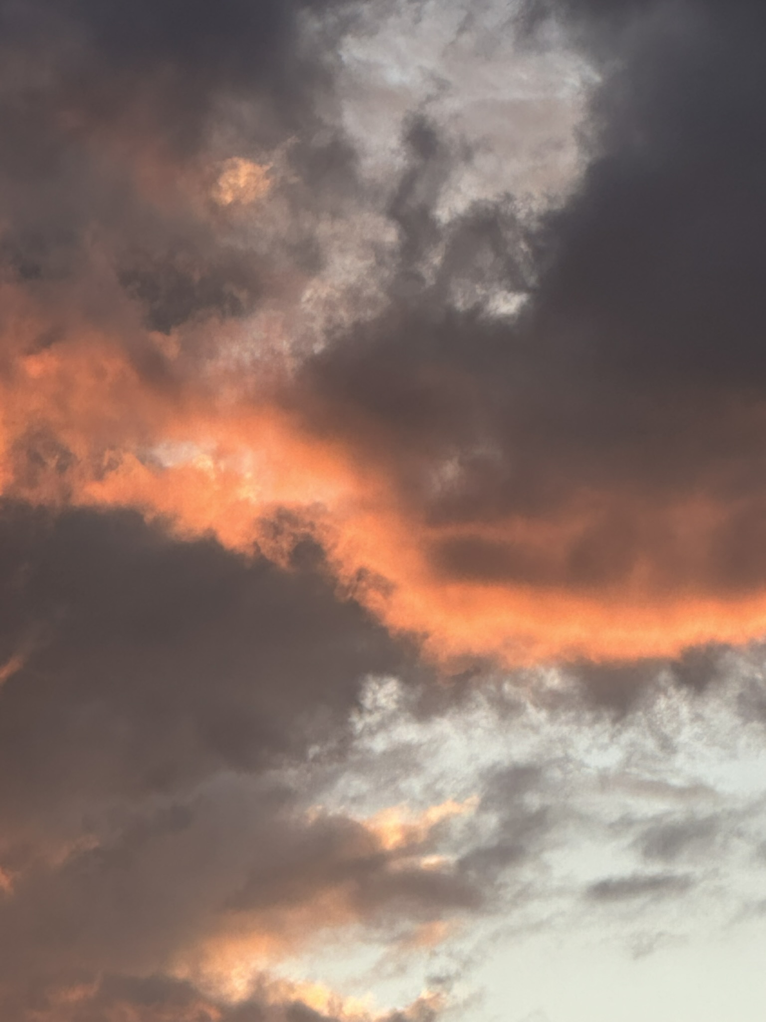 Colorado - Image 346