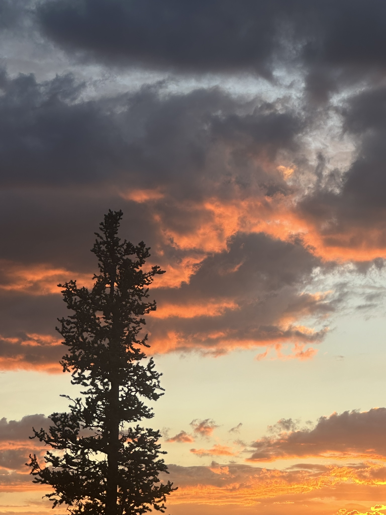 Colorado - Image 350