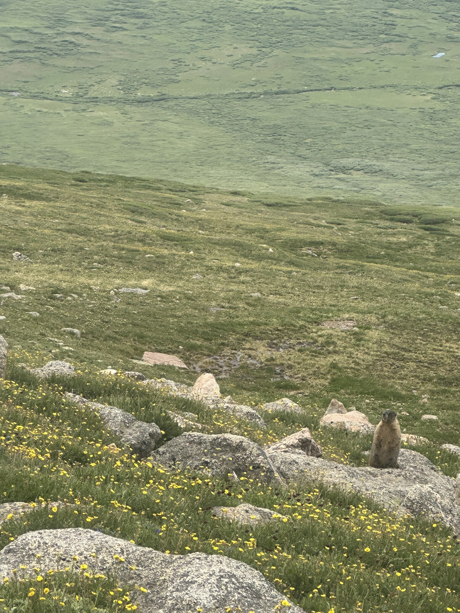 Colorado - Image 637