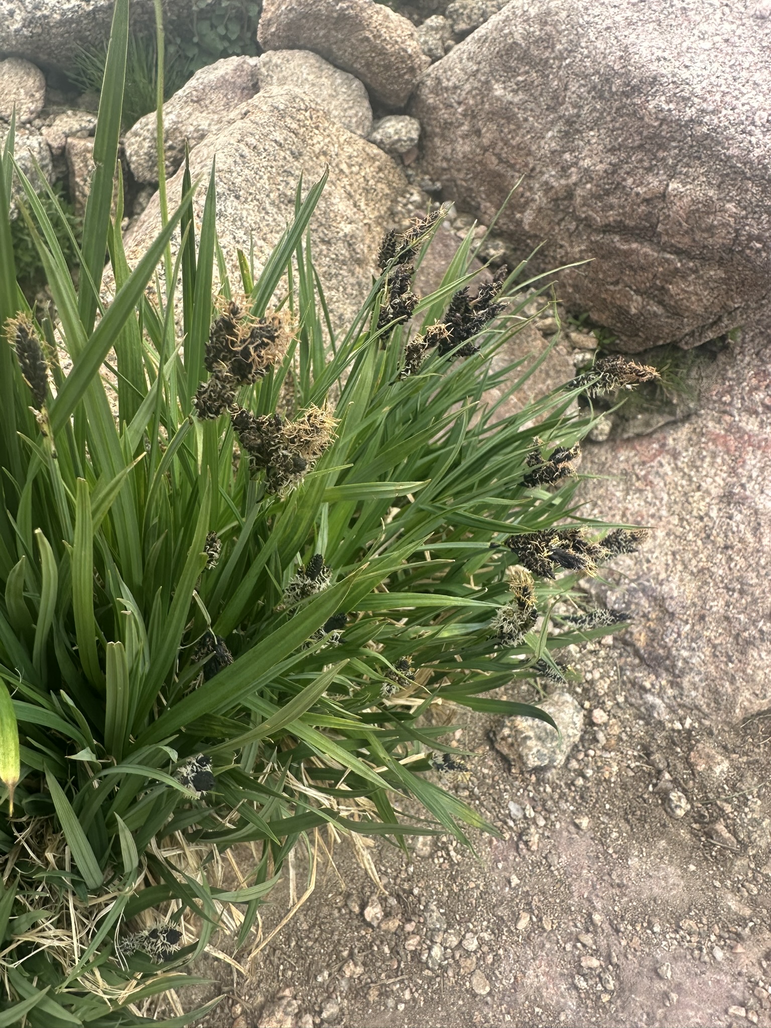 Colorado - Image 641
