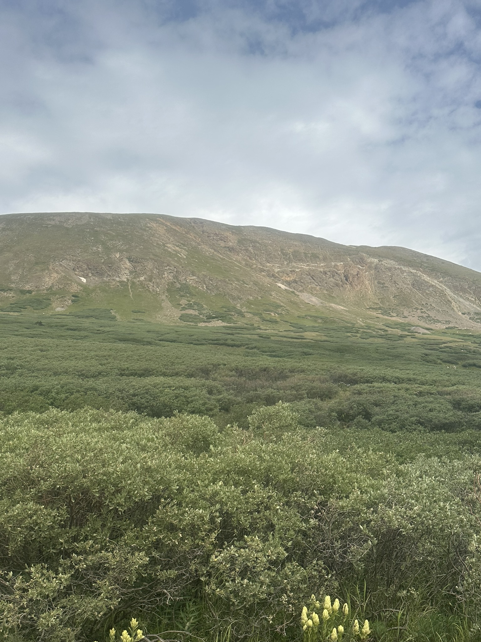 Colorado - Image 943