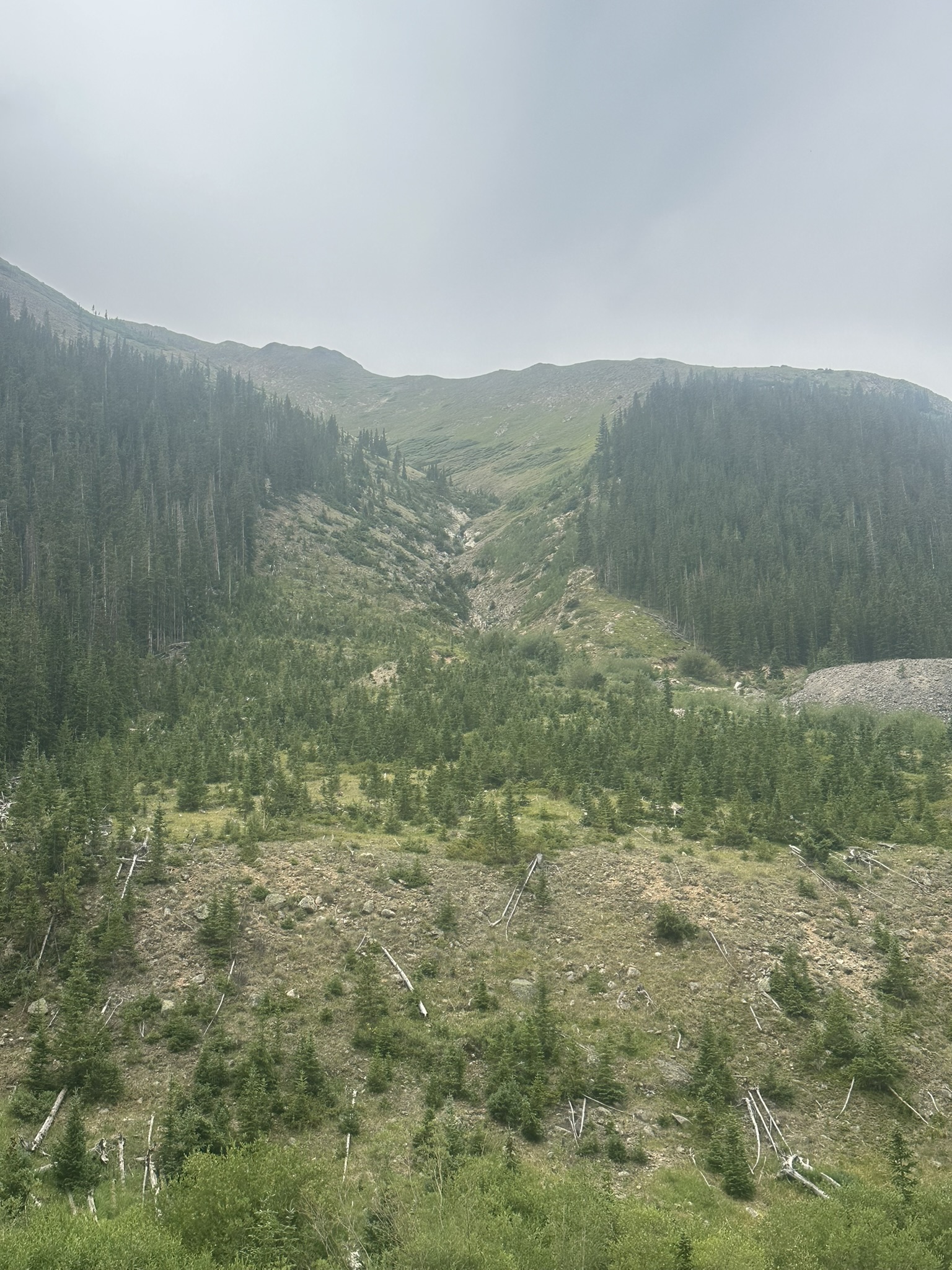 Colorado - Image 1205