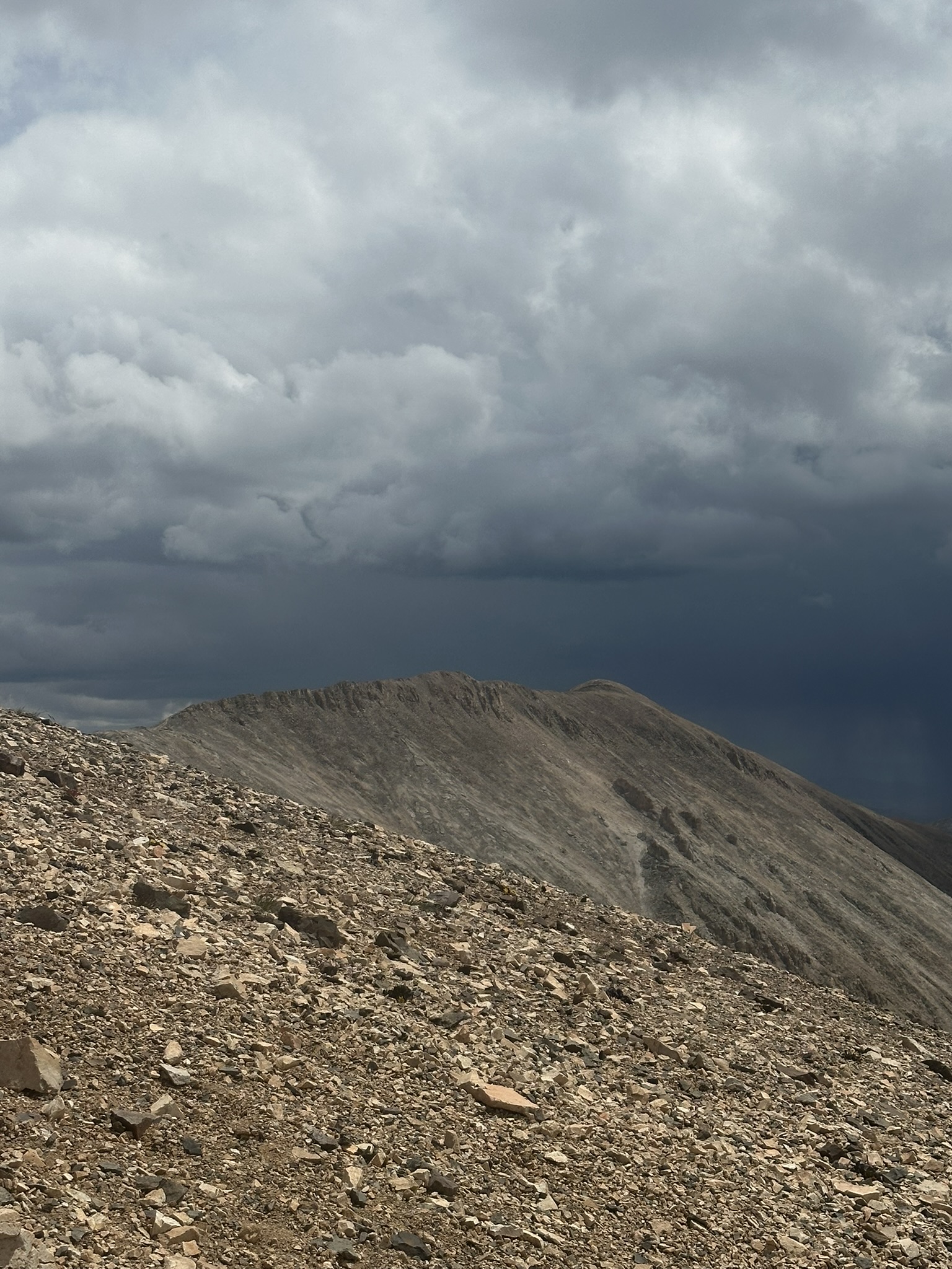 Colorado - Image 1287