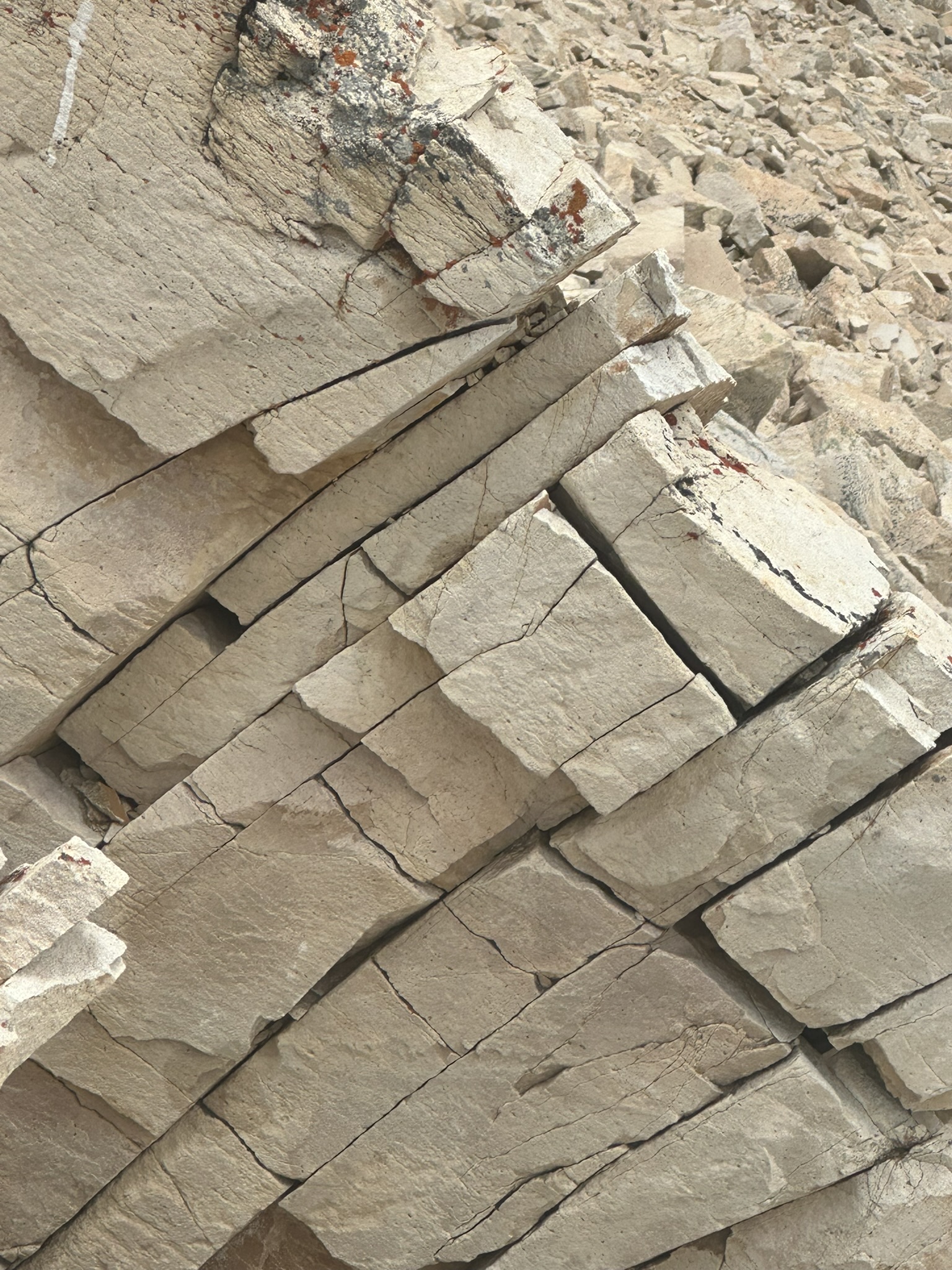 Colorado - Image 1308