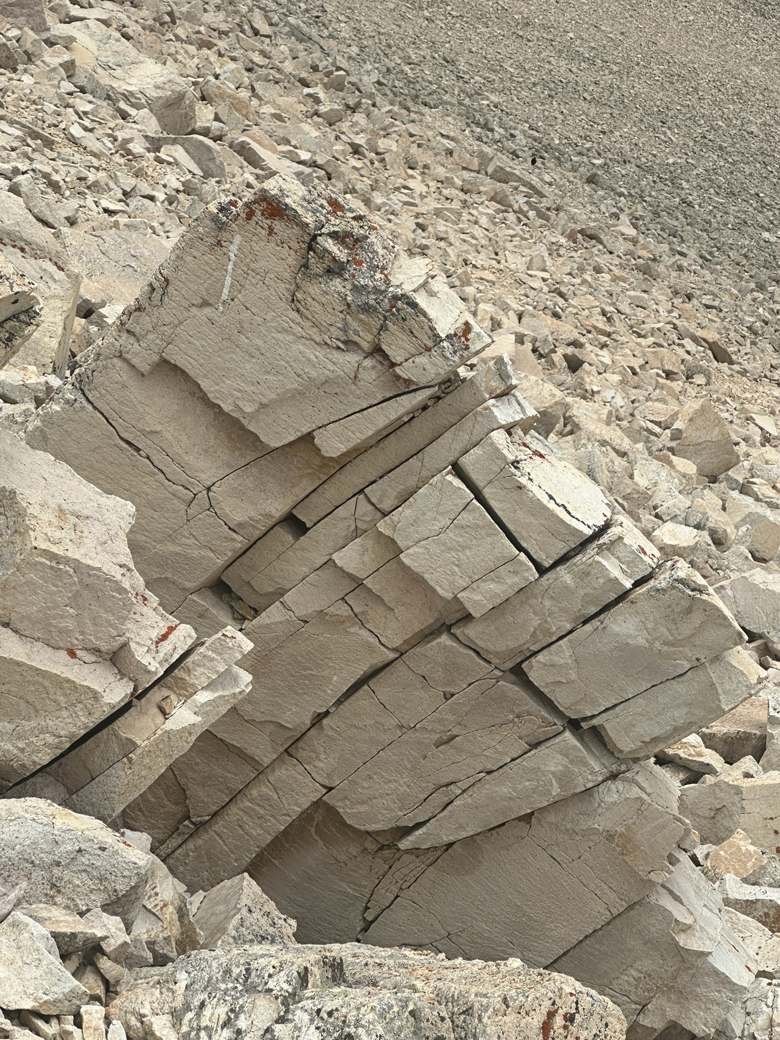 Colorado - Image 1309