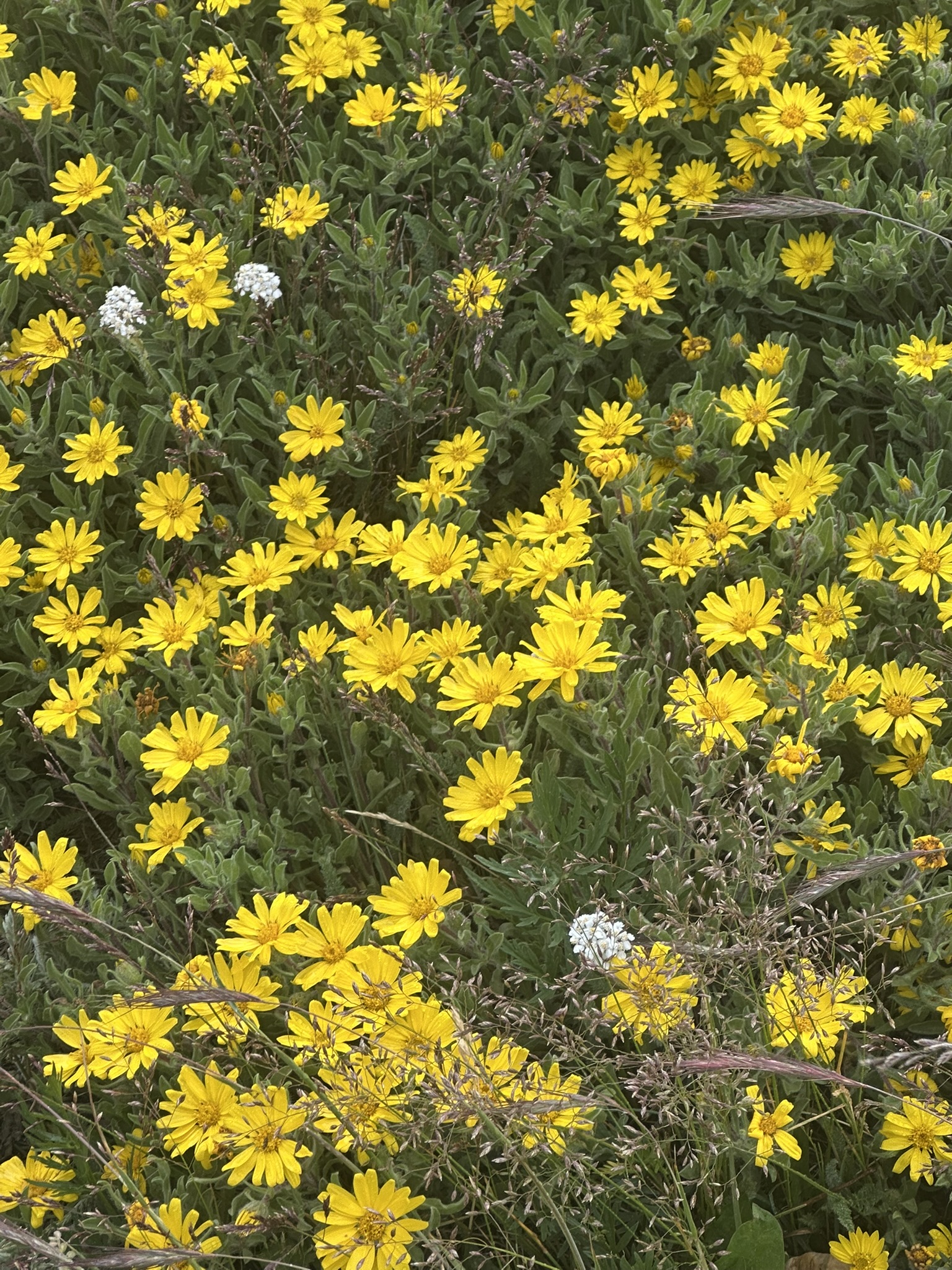 Colorado - Image 1505