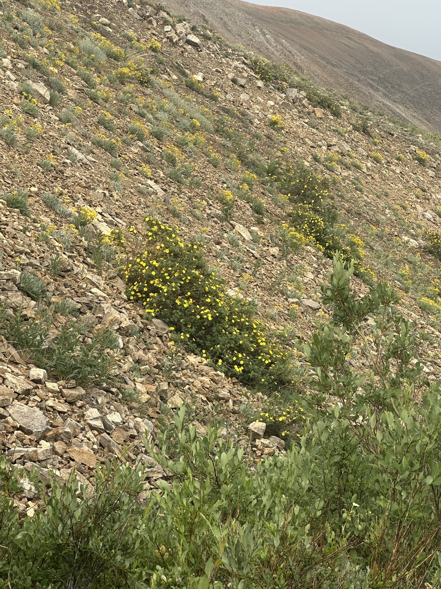 Colorado - Image 1532