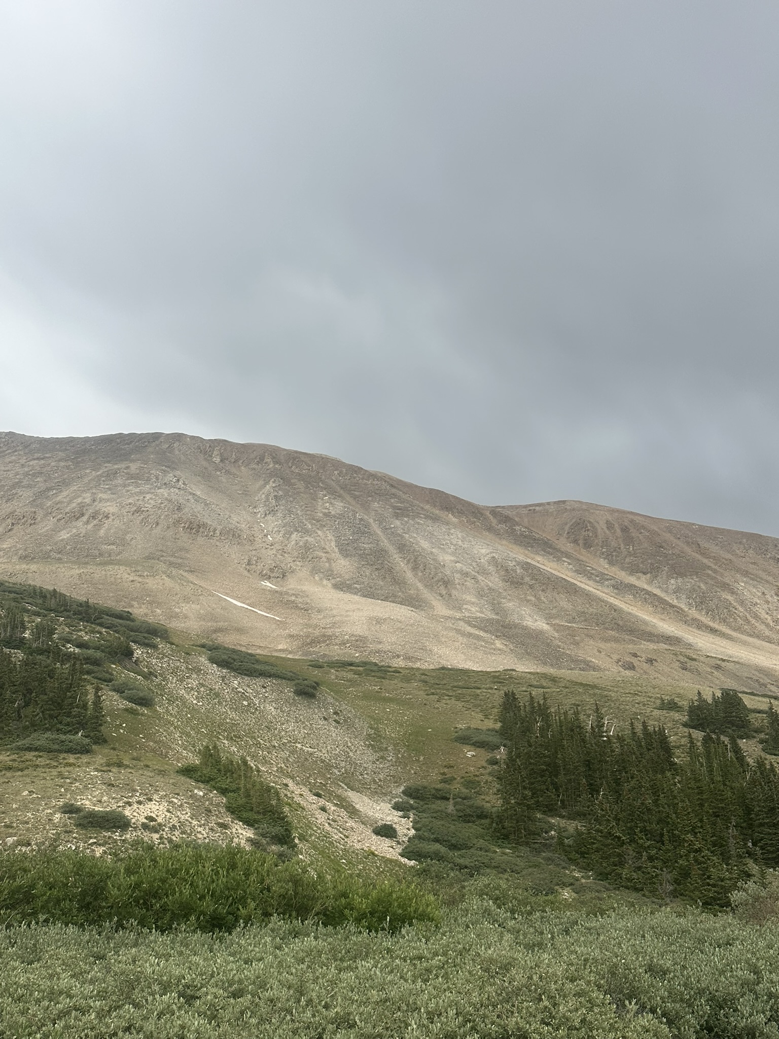 Colorado - Image 1580