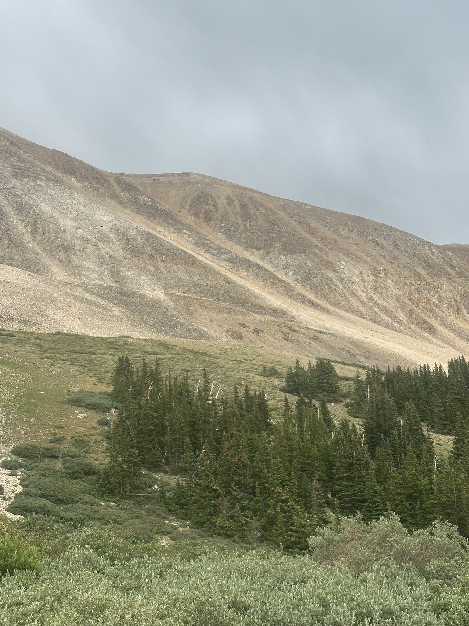 Colorado - Image 1585