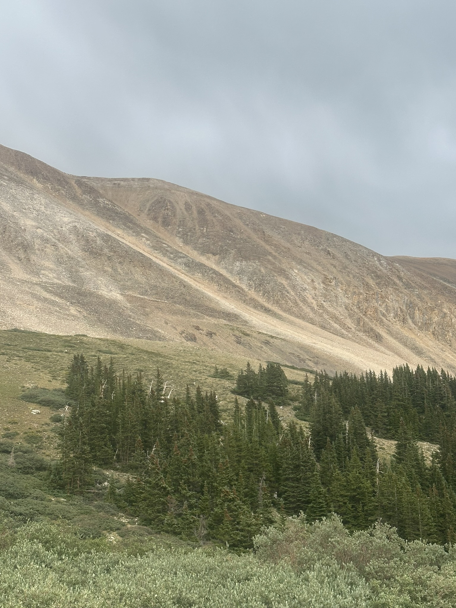 Colorado - Image 1586