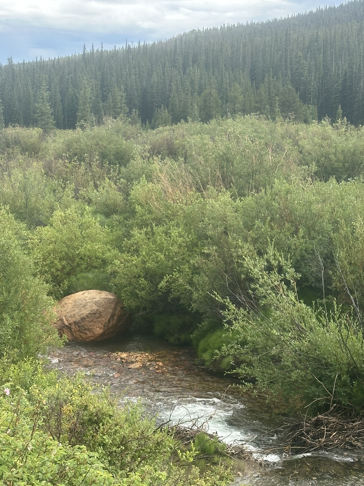 Colorado - Image 1662