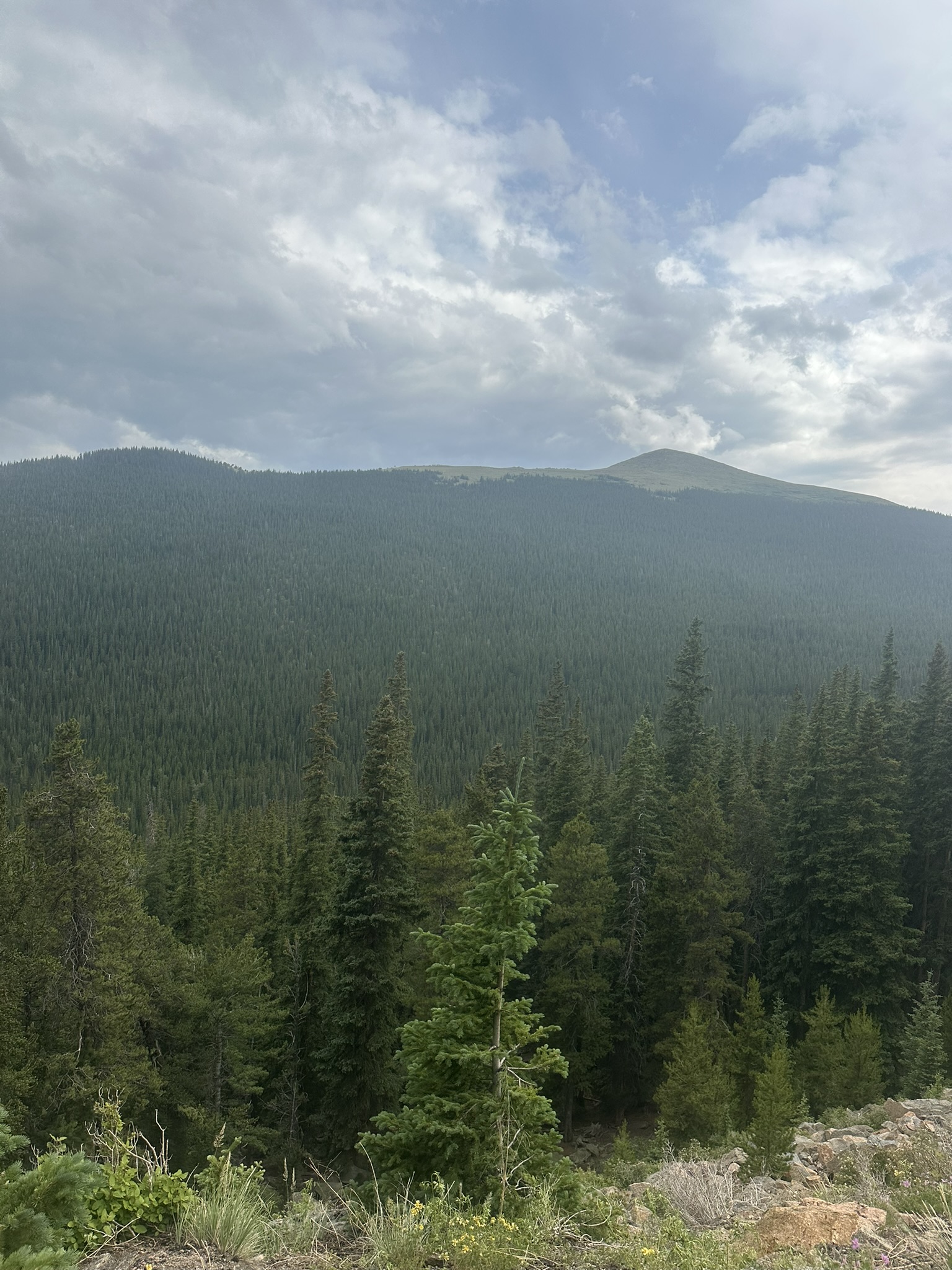 Colorado - Image 2100