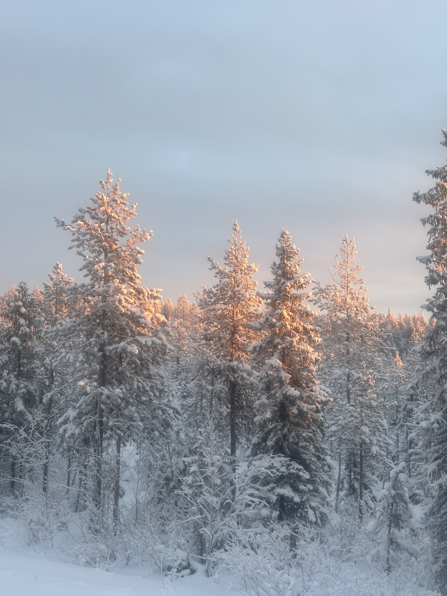 Finland-Norway-Sweden-Again - Image 110