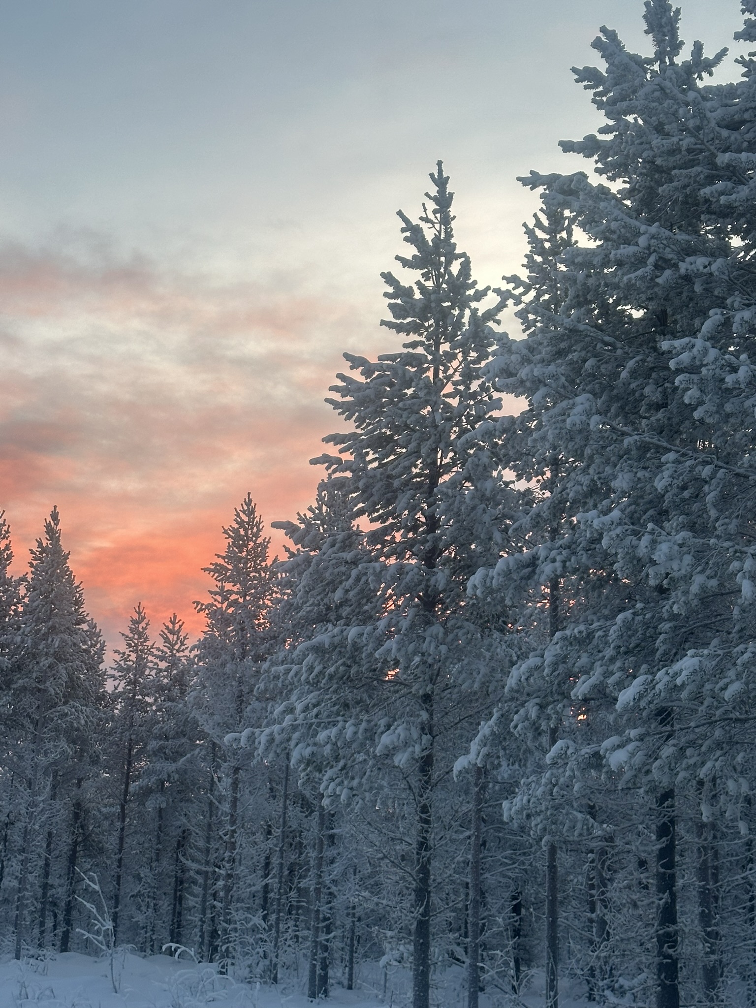 Finland-Norway-Sweden-Again - Image 158