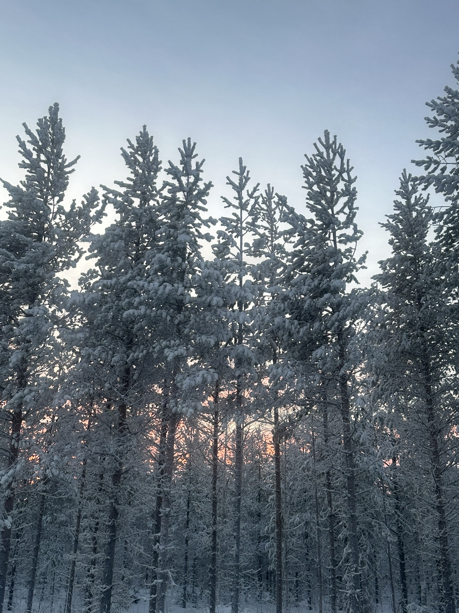 Finland-Norway-Sweden-Again - Image 161