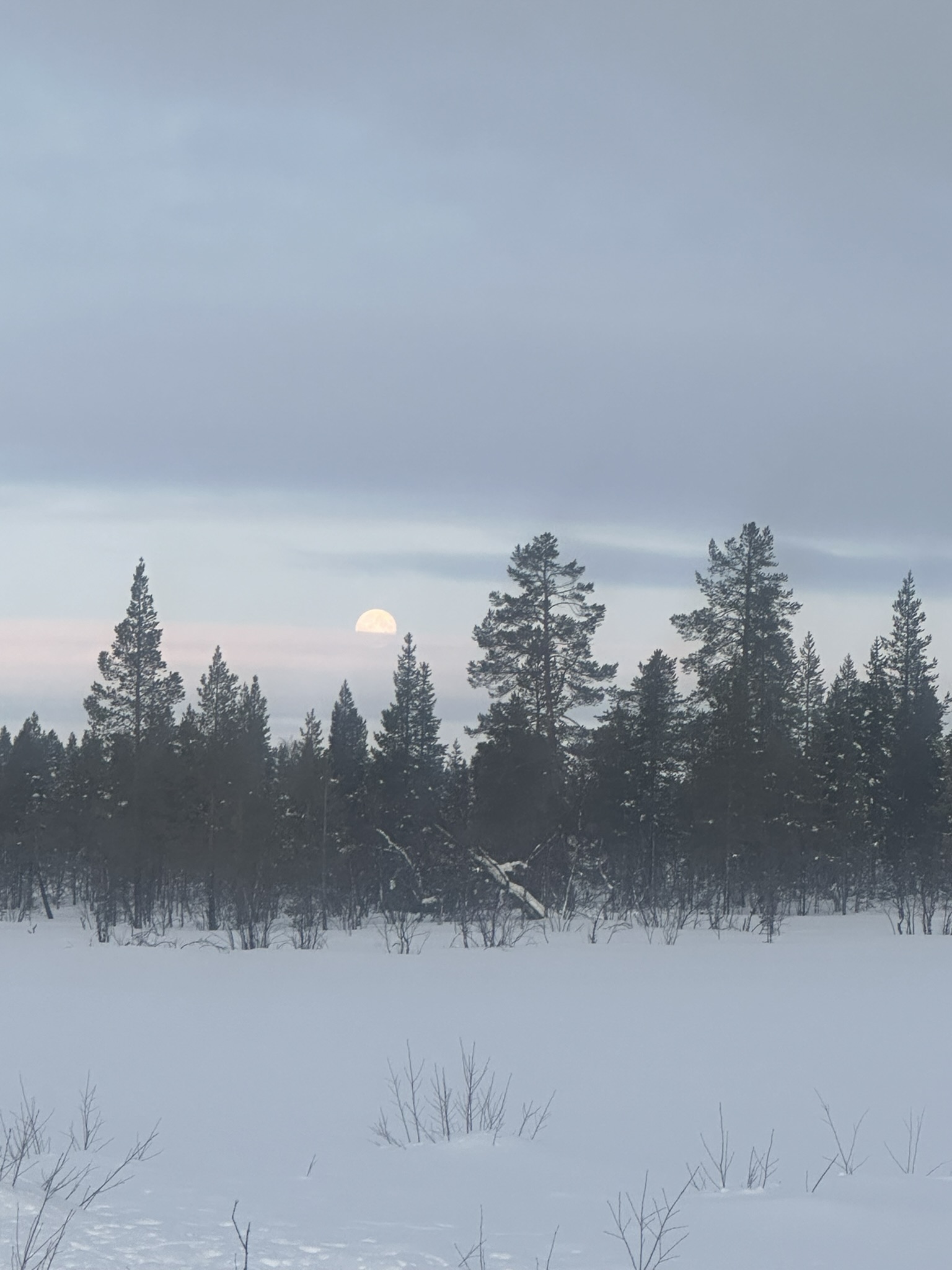 Finland-Norway-Sweden-Again - Image 203