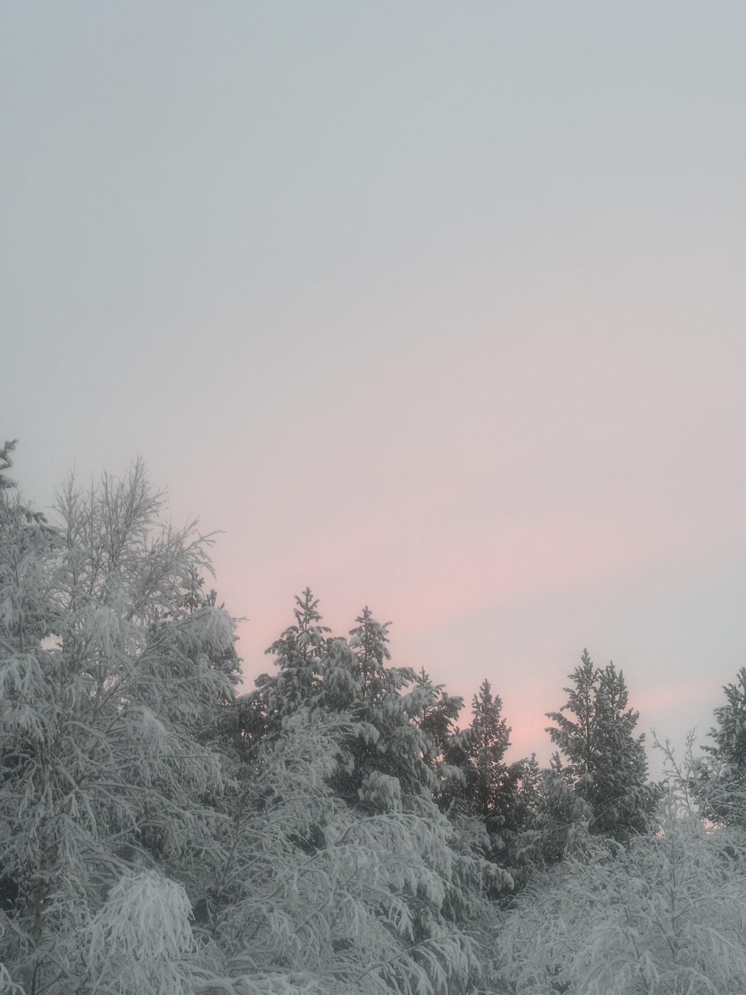 Finland-Norway-Sweden-Again - Image 273