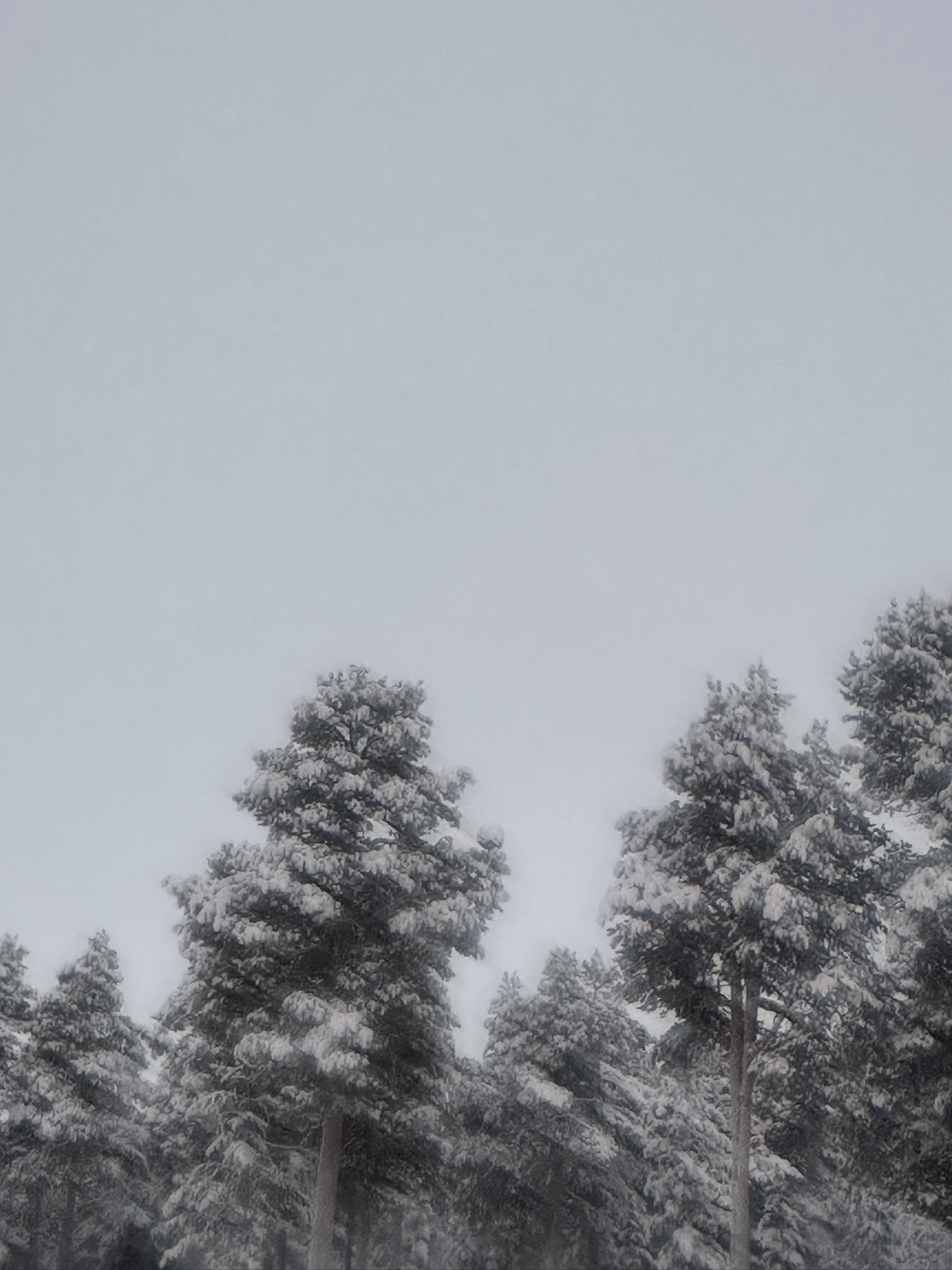 Finland-Norway-Sweden-Again - Image 278