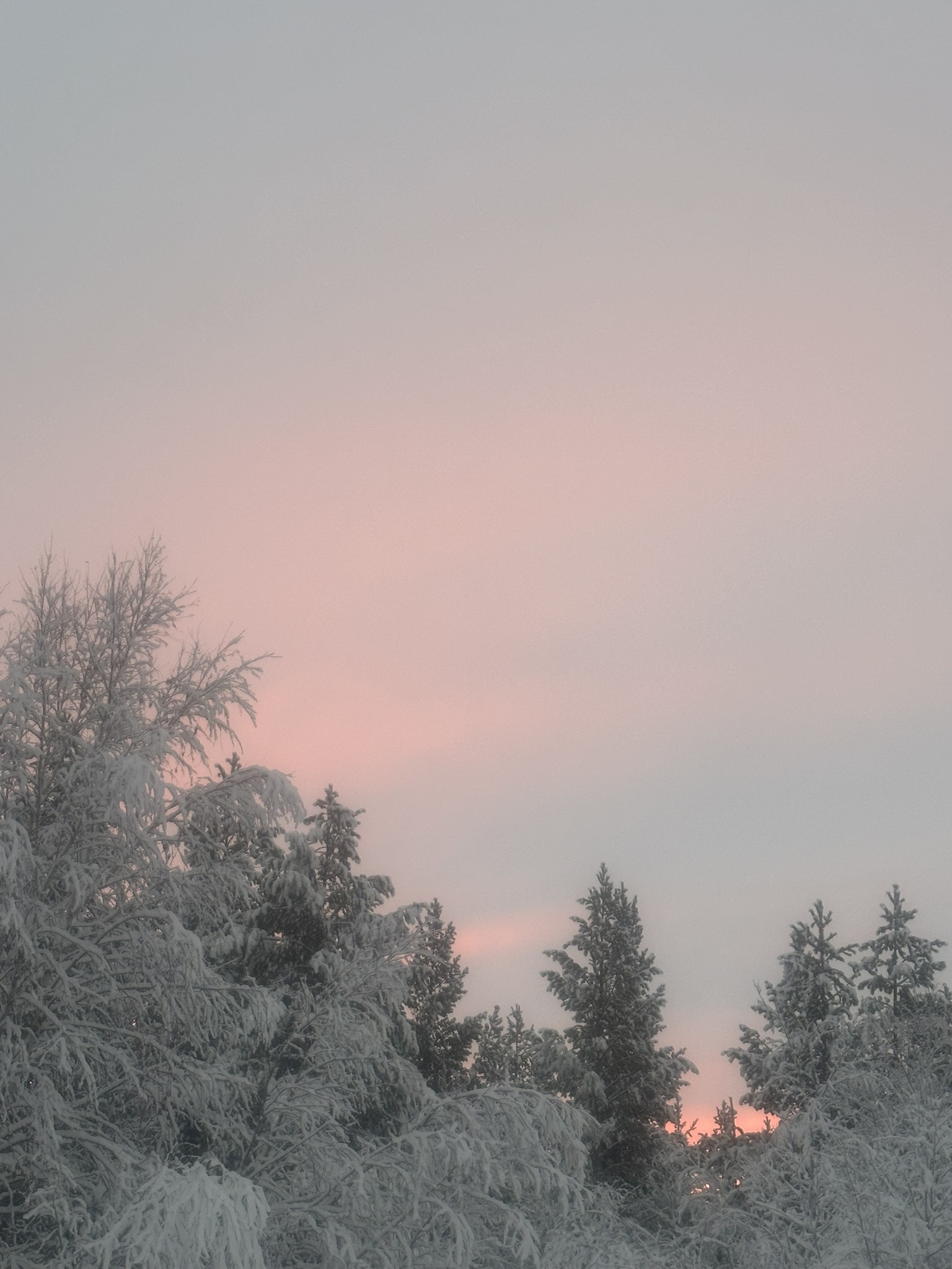 Finland-Norway-Sweden-Again - Image 287