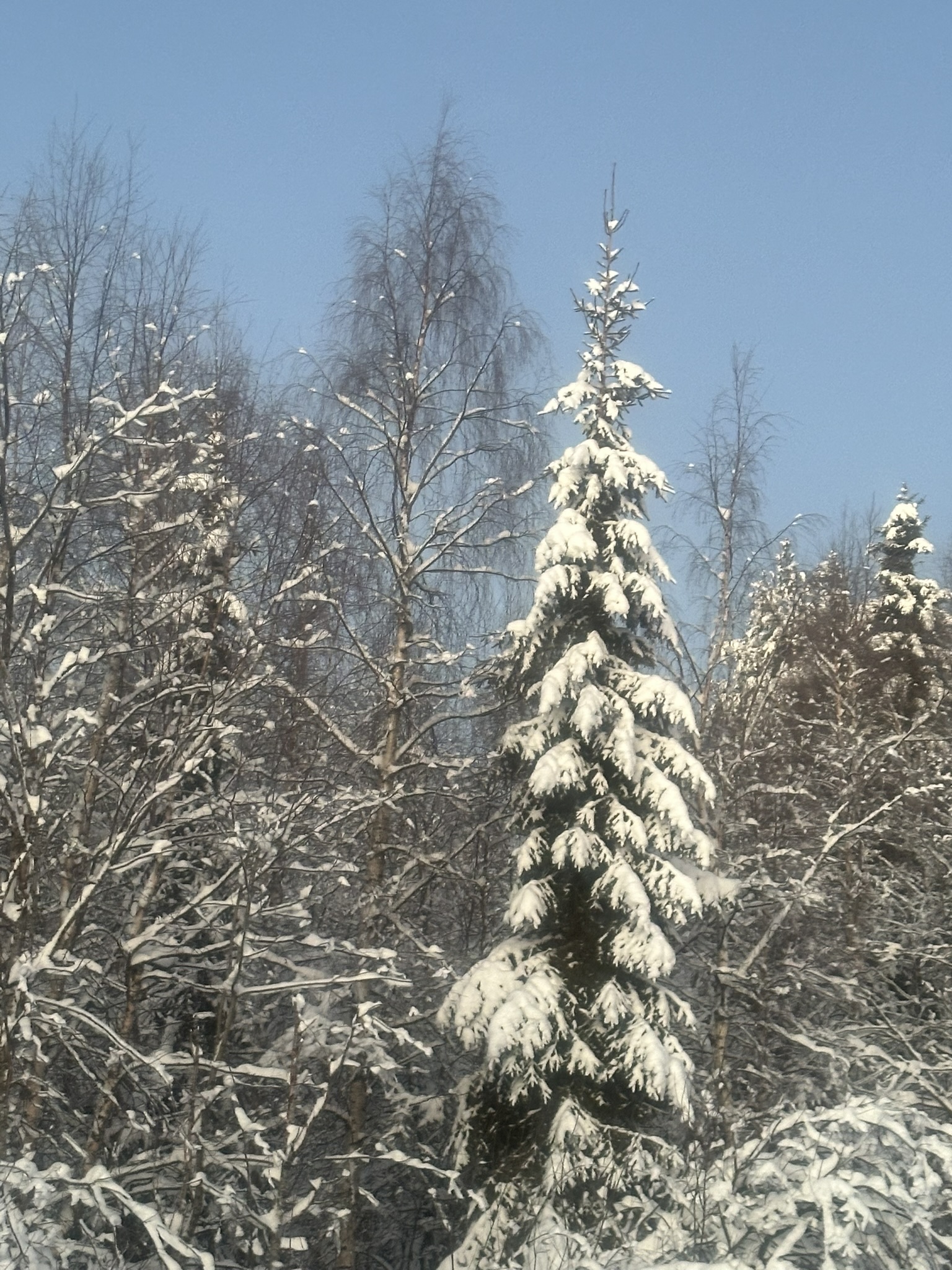 Finland-Norway-Sweden-Again - Image 457