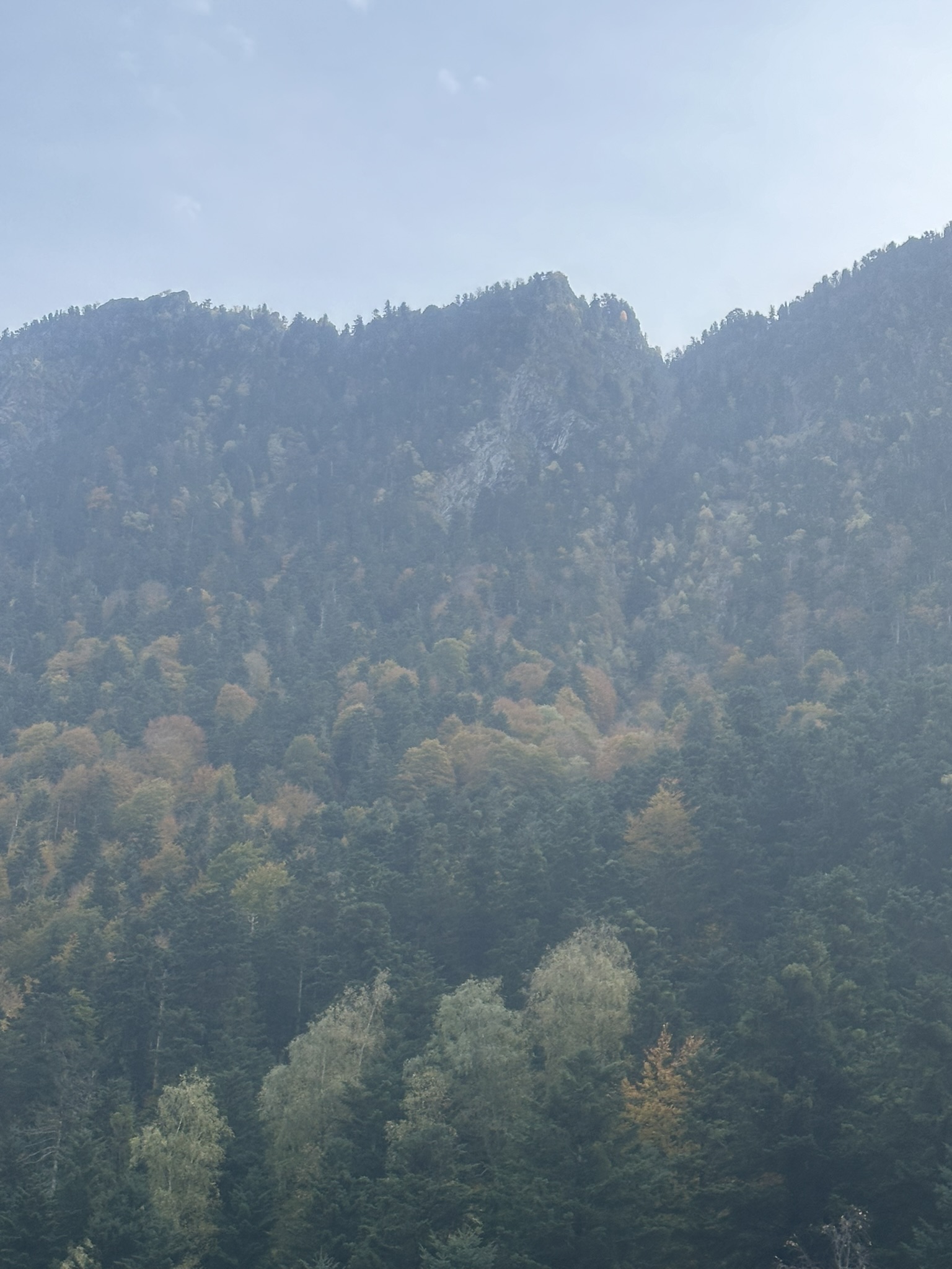 France-Spain - Image 48