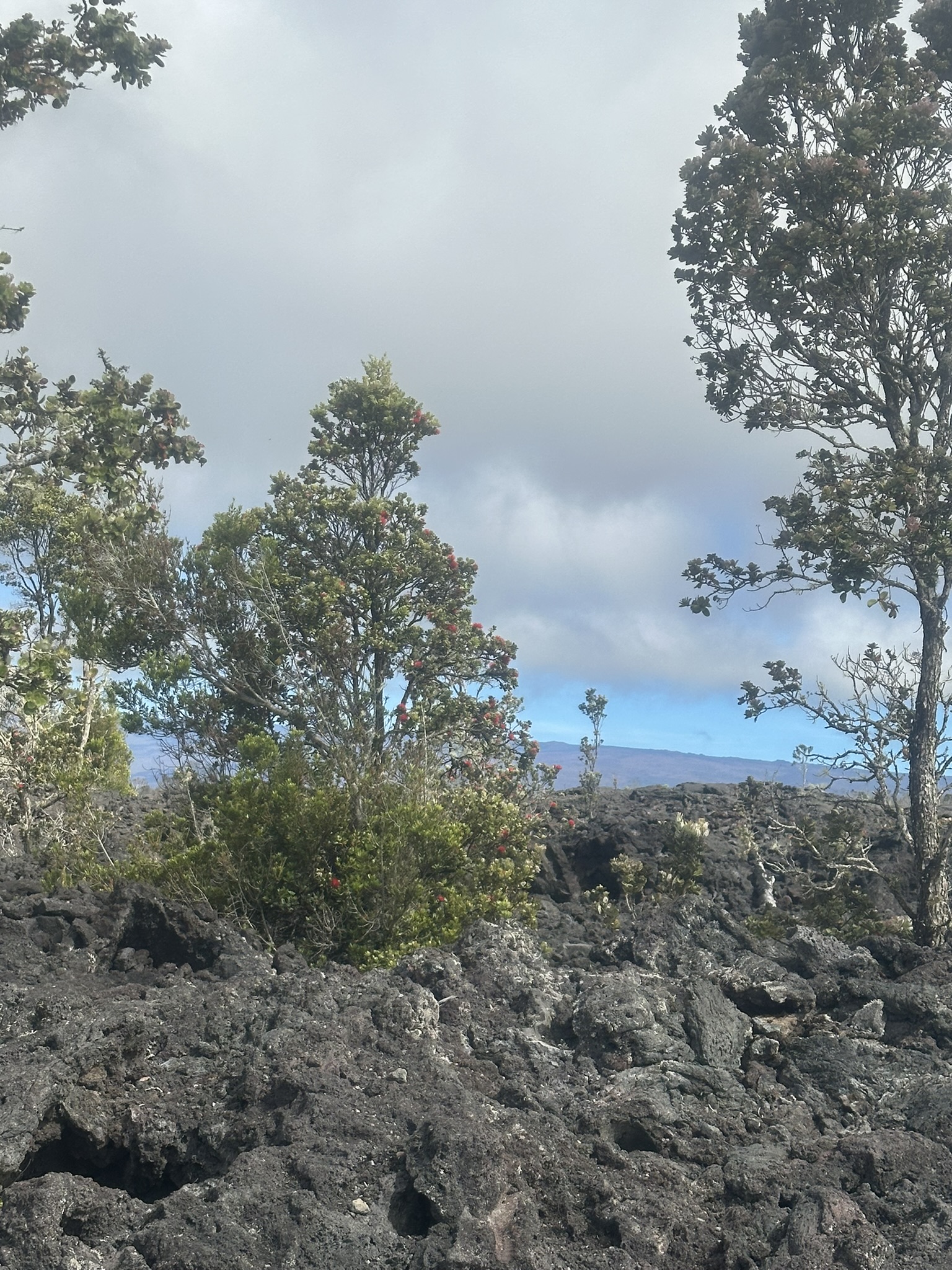 Hawaii - Kilauea Erupting - Image 52