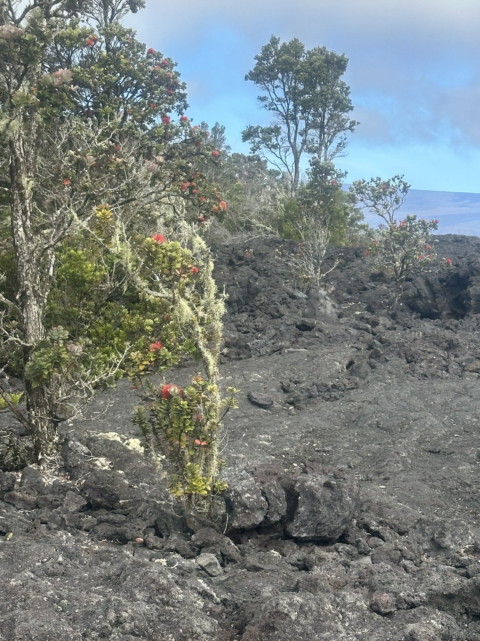 Hawaii - Kilauea Erupting - Image 56
