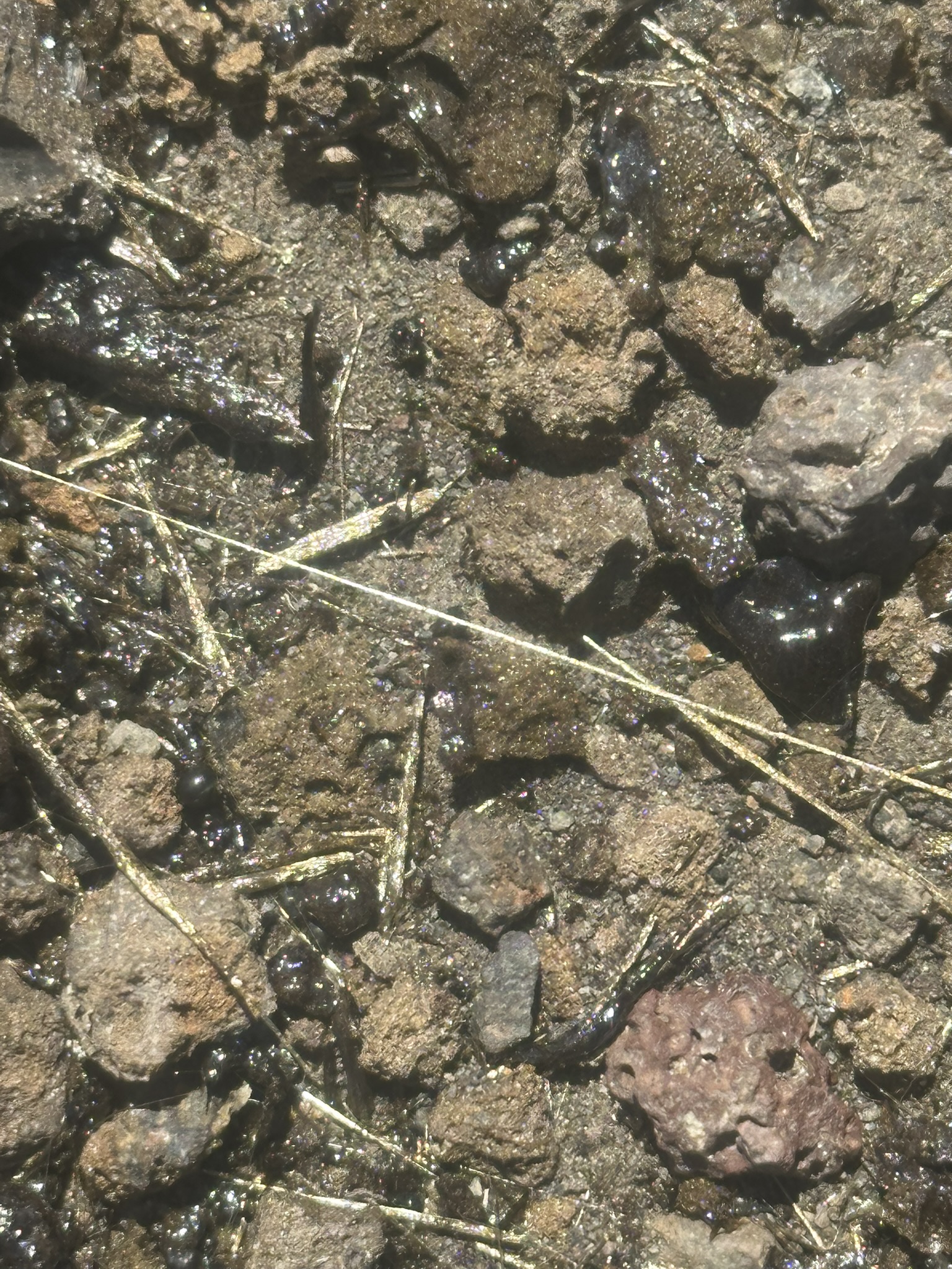 Hawaii - Kilauea Erupting - Image 67