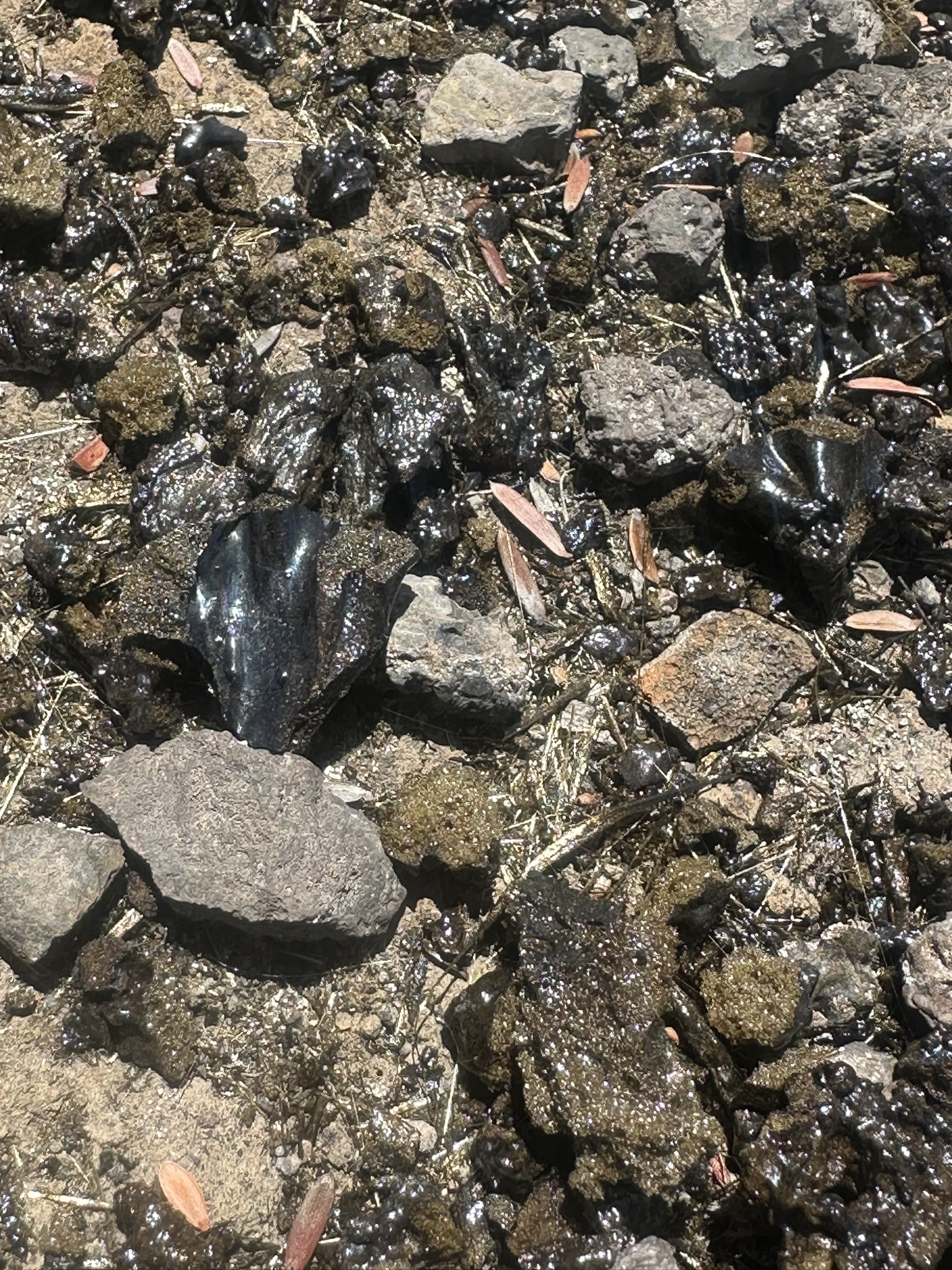 Hawaii - Kilauea Erupting - Image 69