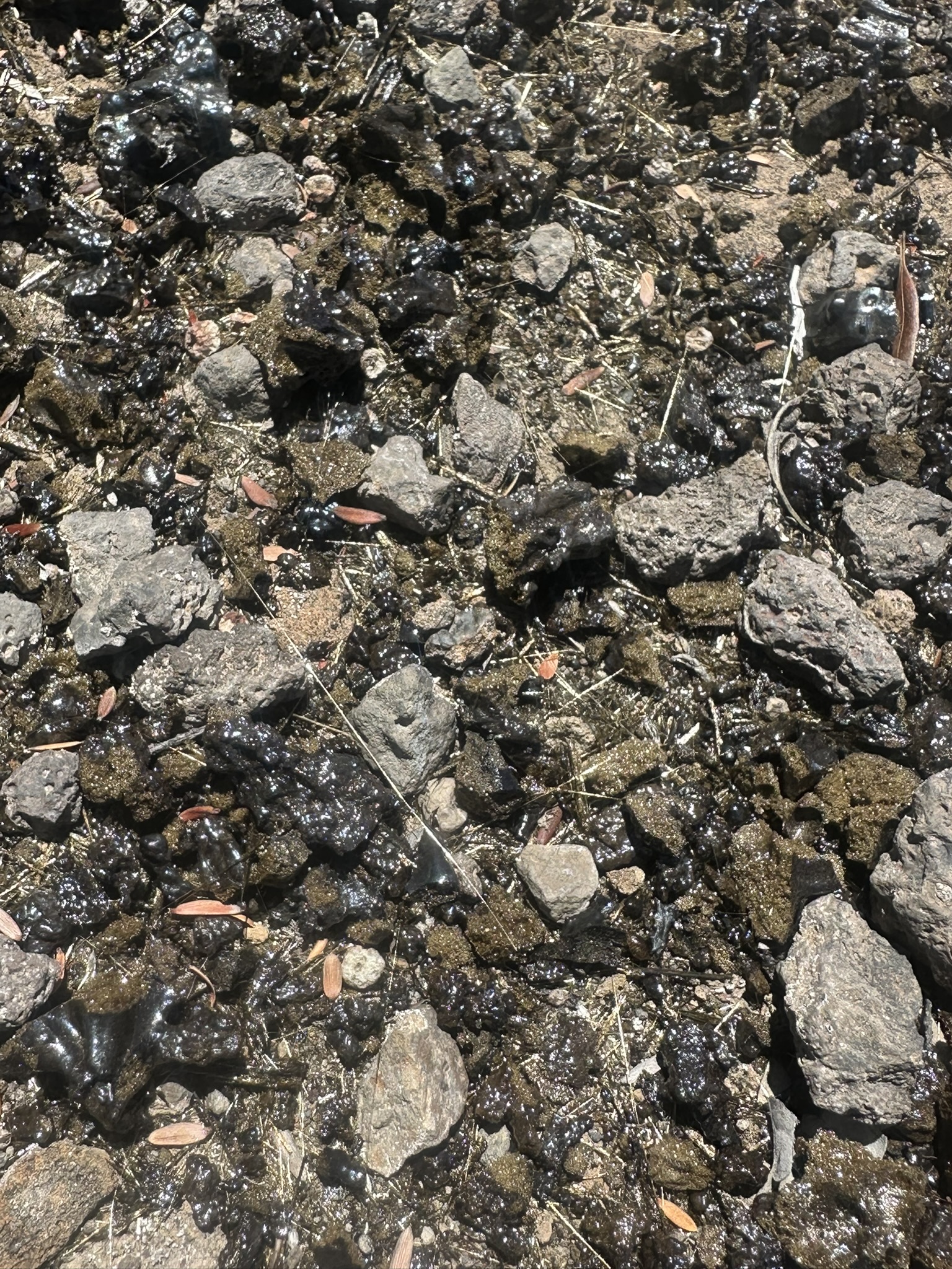 Hawaii - Kilauea Erupting - Image 70